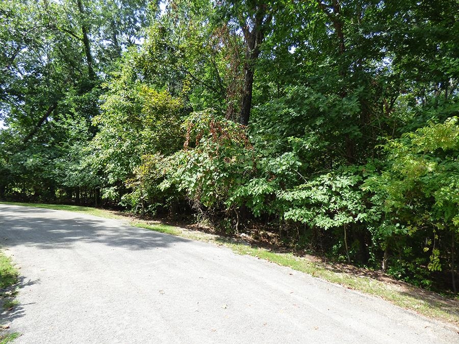 Photo 2 - Vacant Land for sale –   Alamo   Cherokee Village, AR