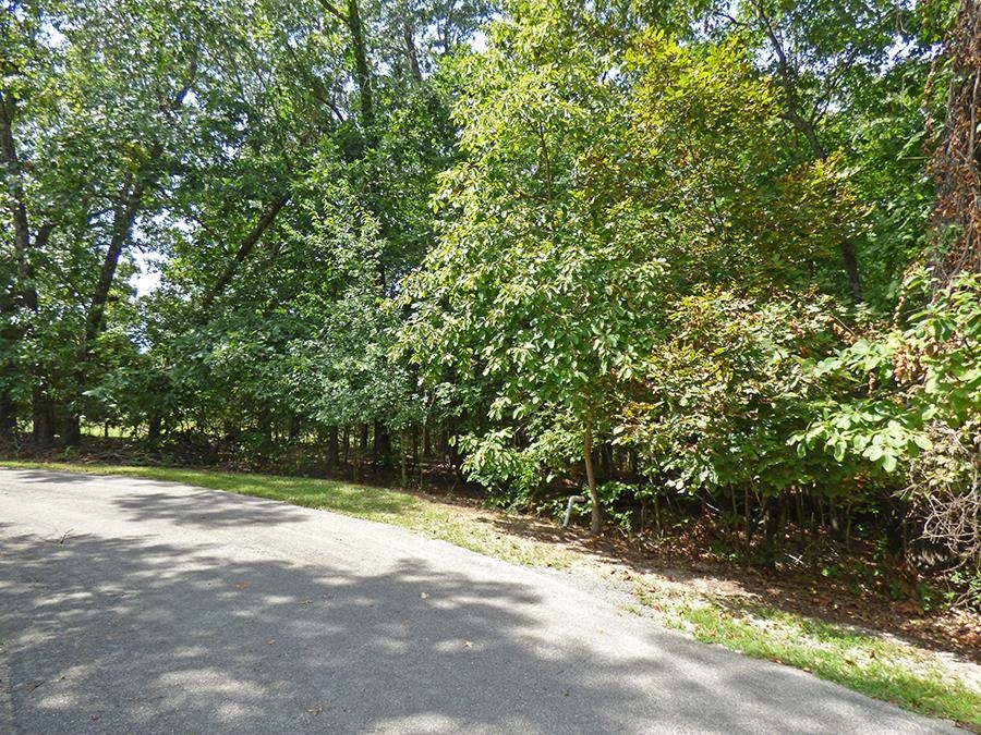 Photo 3 - Vacant Land for sale –   Alamo   Cherokee Village, AR