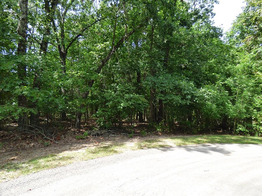 Photo 4 - Vacant Land for sale –   Alamo   Cherokee Village, AR