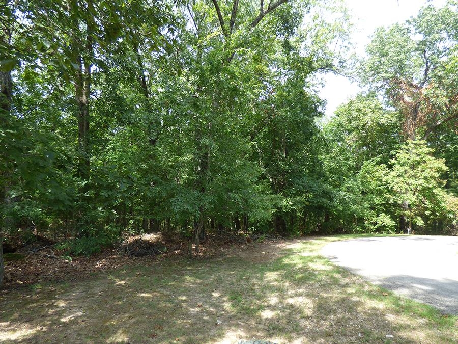 Photo 6 - Vacant Land for sale –   Alamo   Cherokee Village, AR