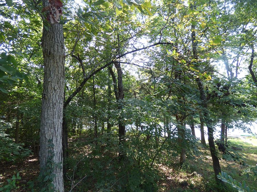 Photo 2 - Vacant Land for sale – 00 E Lakeshore   Cherokee Village, AR