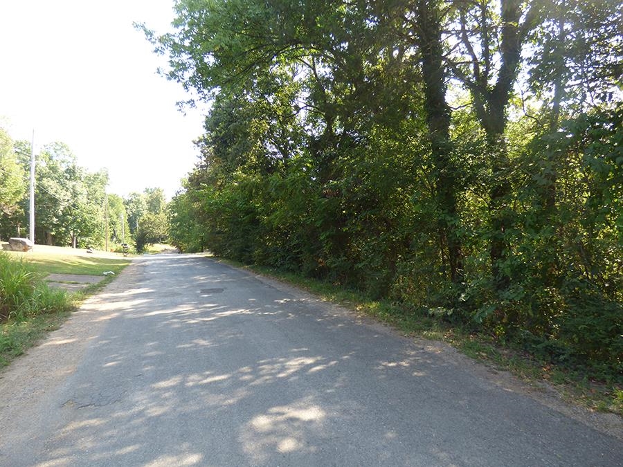 Photo 3 - Vacant Land for sale – 00 E Lakeshore   Cherokee Village, AR