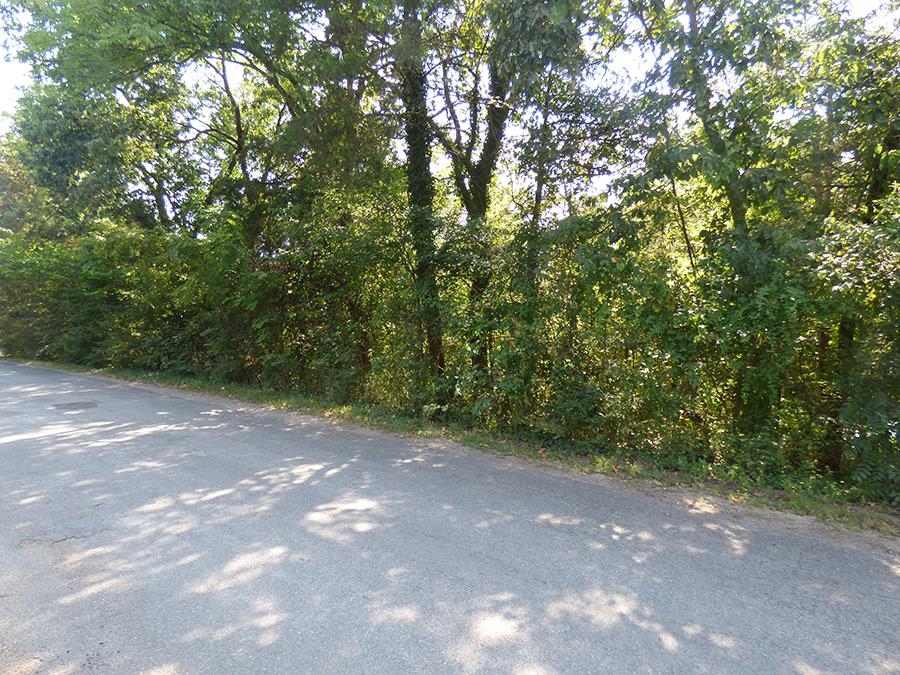 Photo 4 - Vacant Land for sale – 00 E Lakeshore   Cherokee Village, AR