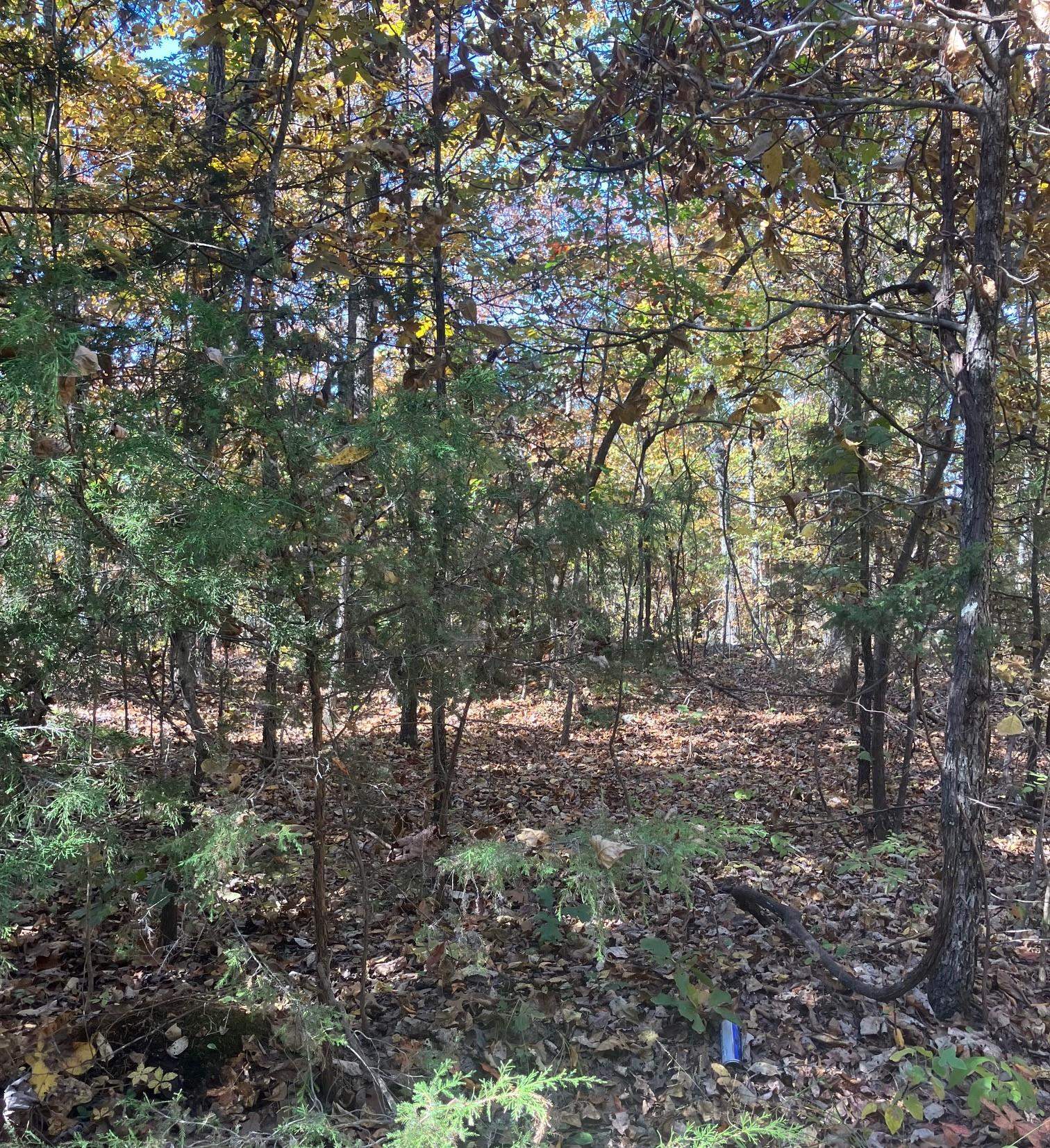 Photo 3 - Vacant Land for sale – TBD  Pinecrest Road   Hardy, AR