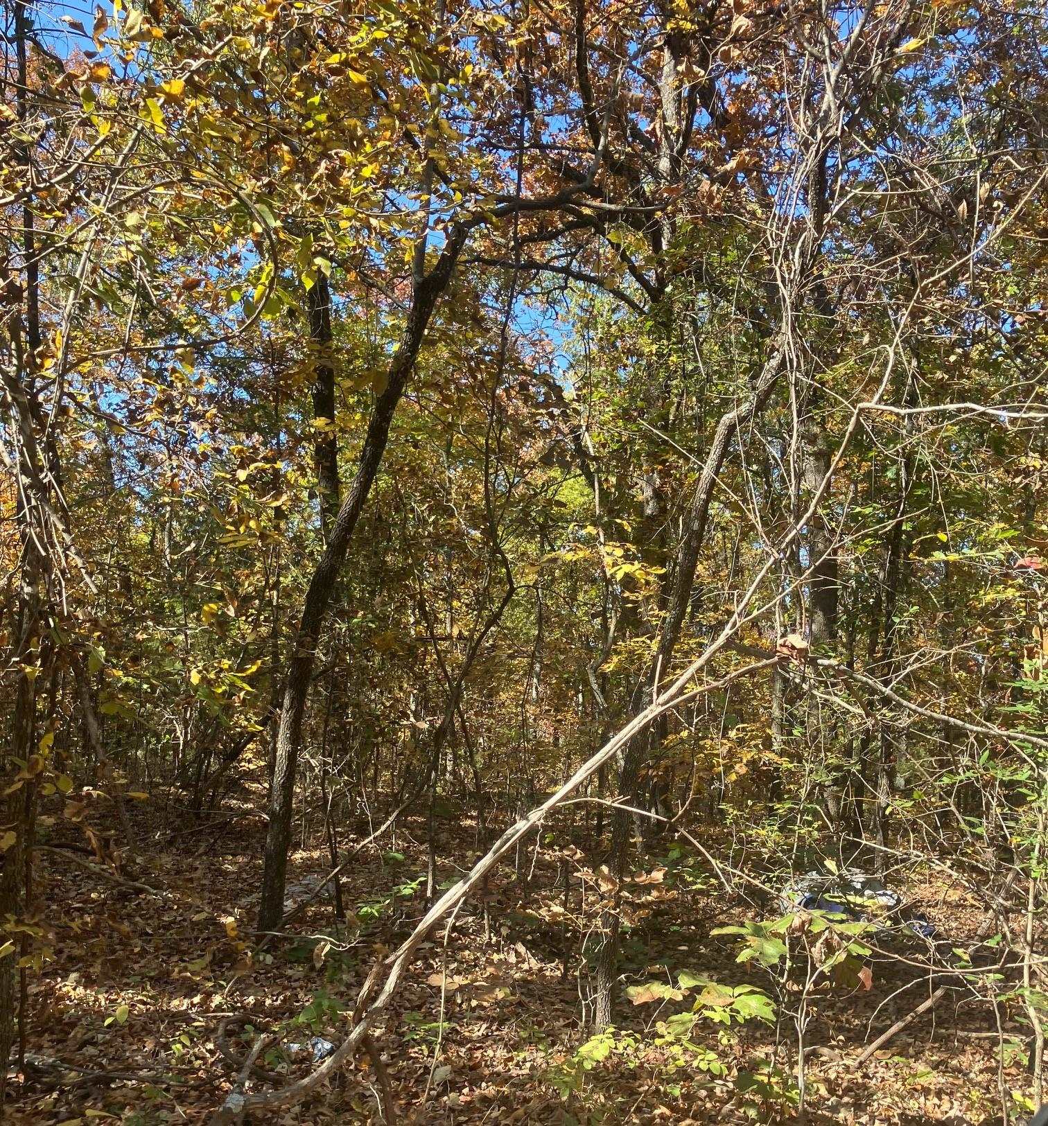 Photo 4 - Vacant Land for sale – TBD  Pinecrest Road   Hardy, AR