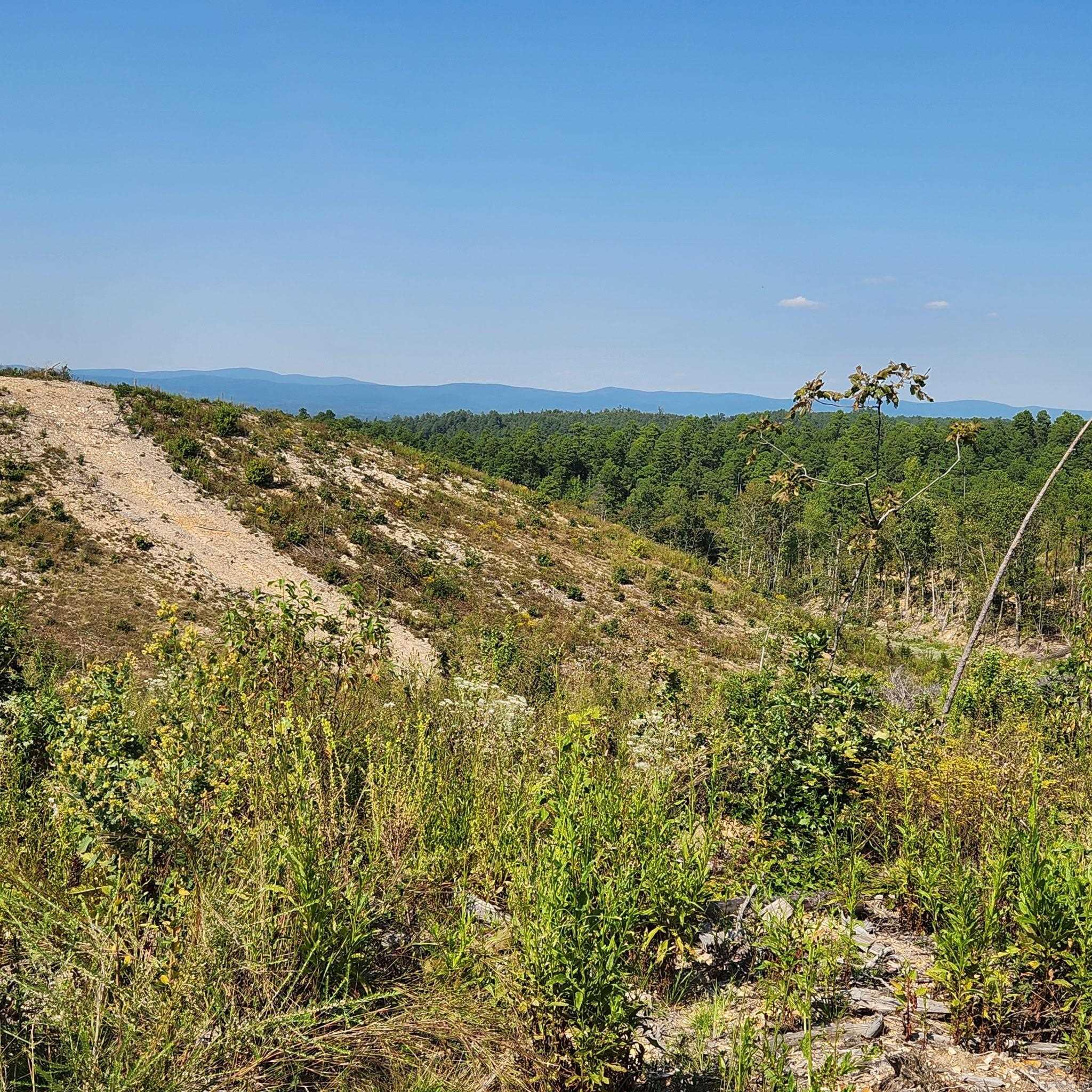 Farm/Ranch/Land for sale – 9999  Polk ROAD 62   Mena, AR