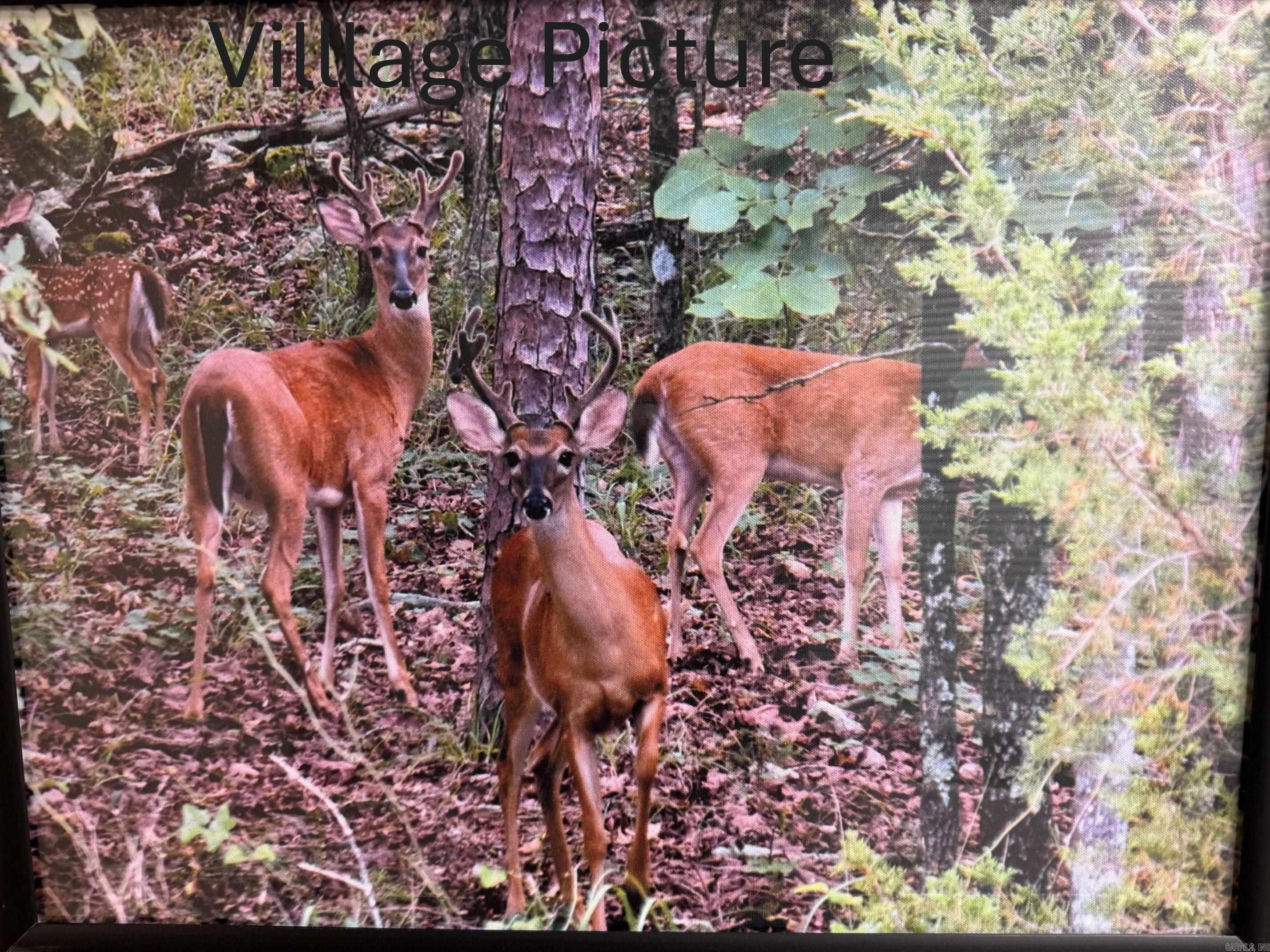 Photo 4 - Vacant Land for sale – 18  VENADO WAY   Hot Springs Village, AR