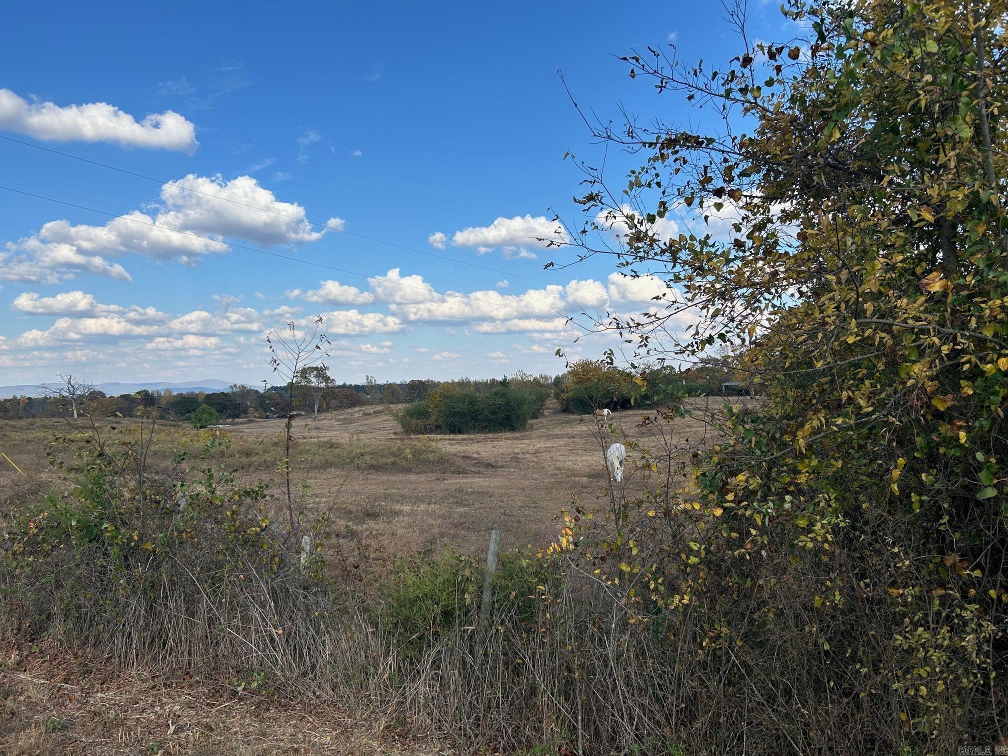 415 E Highway 375 E Mena, AR 71953 MLS 24039114