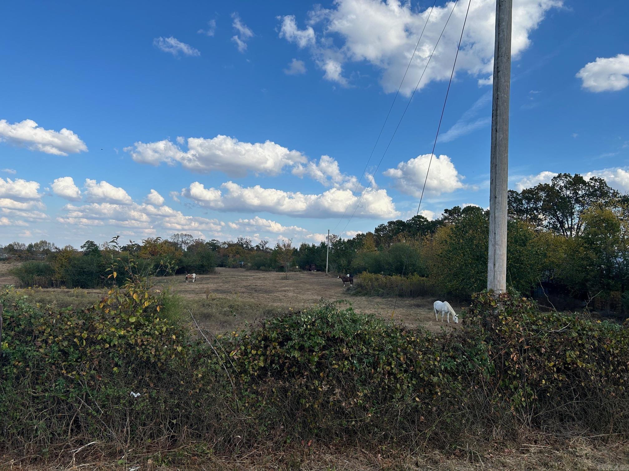 415 E Highway 375 E Mena, AR 71953 MLS 24039114