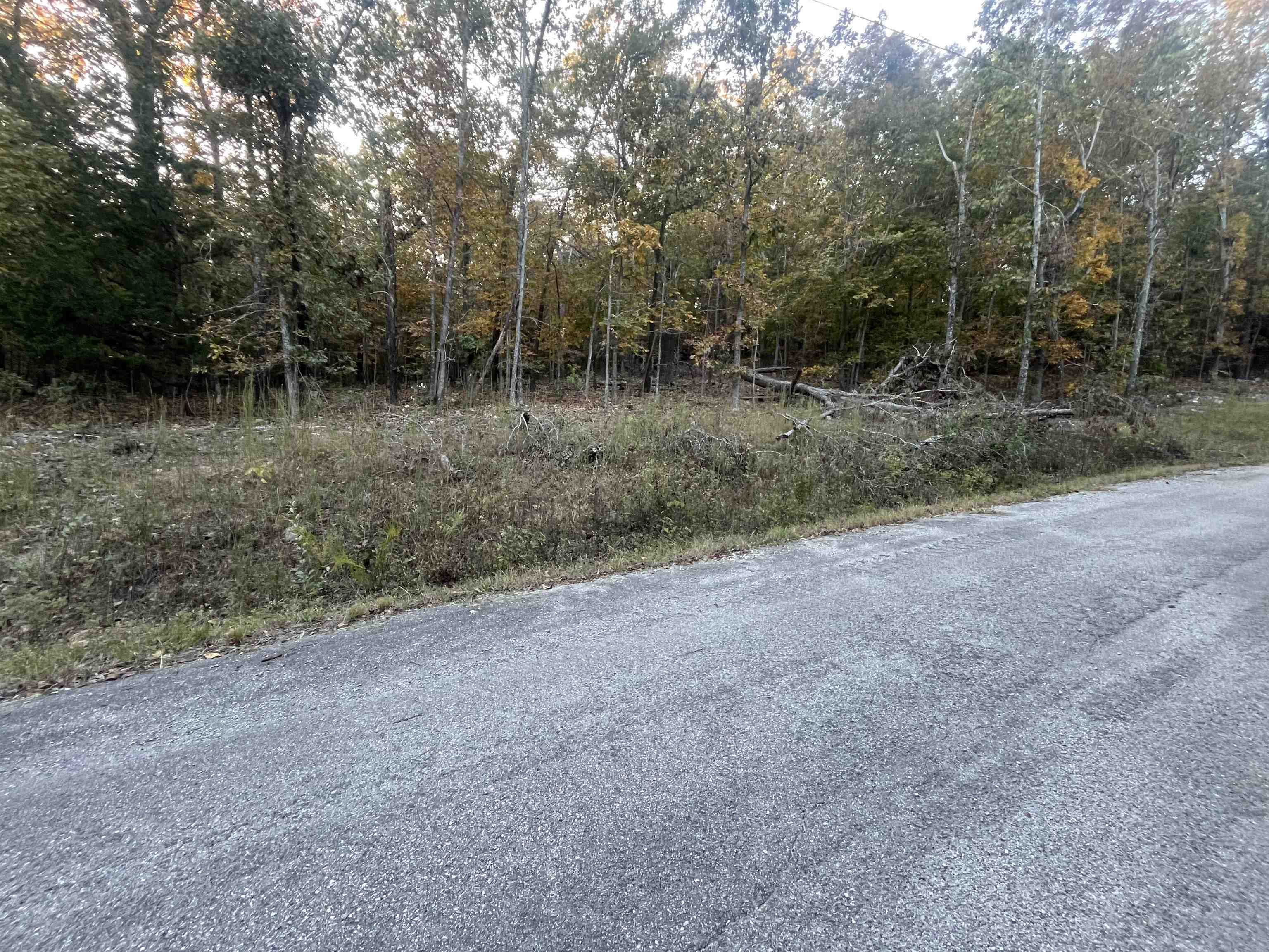 Vacant Land for sale – TBD  Chakowin   Cherokee Village, AR