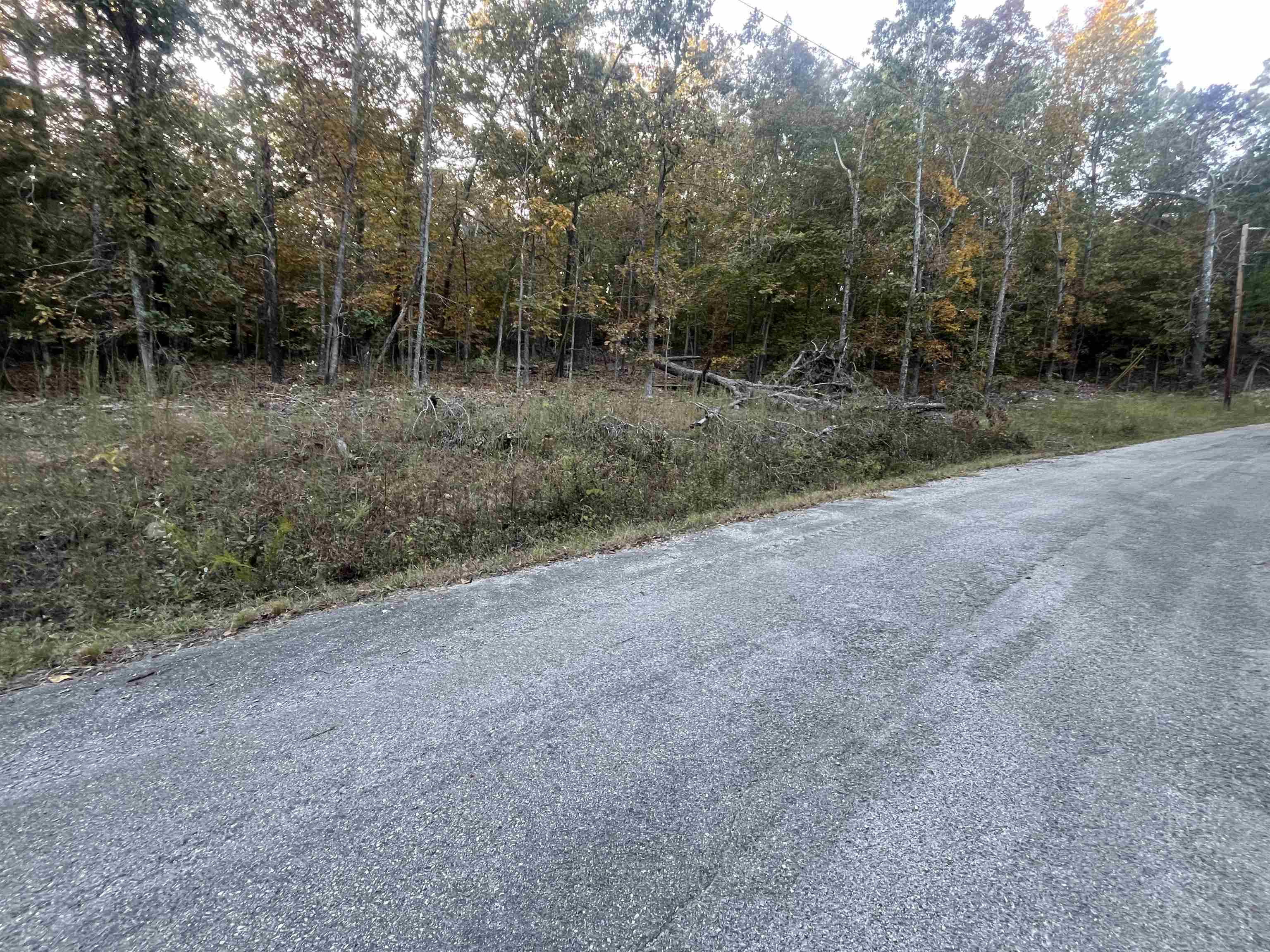 Photo 3 - Vacant Land for sale – TBD  Chakowin   Cherokee Village, AR