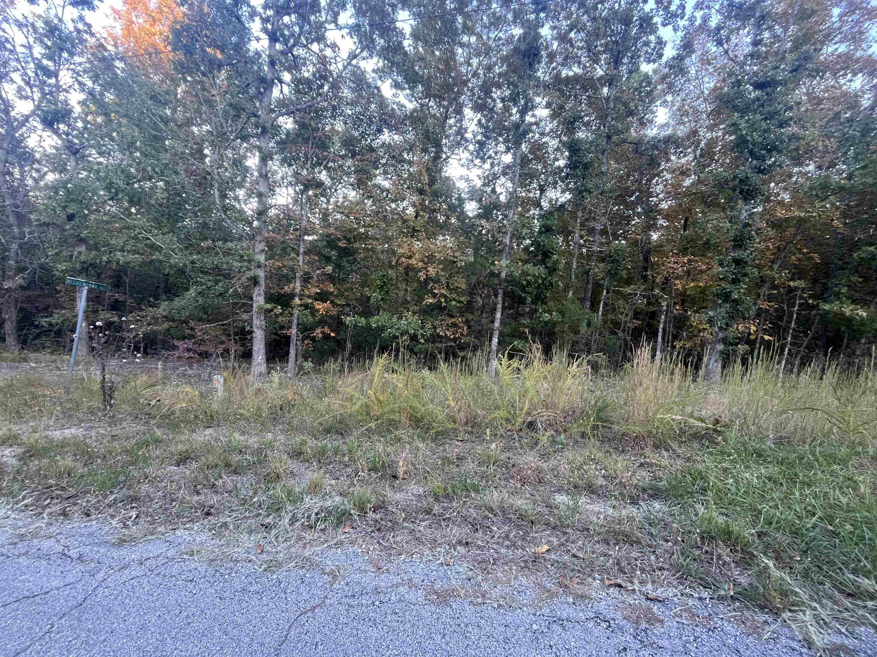 Vacant Land for sale – TBD  Mishemokwa   Cherokee Village, AR