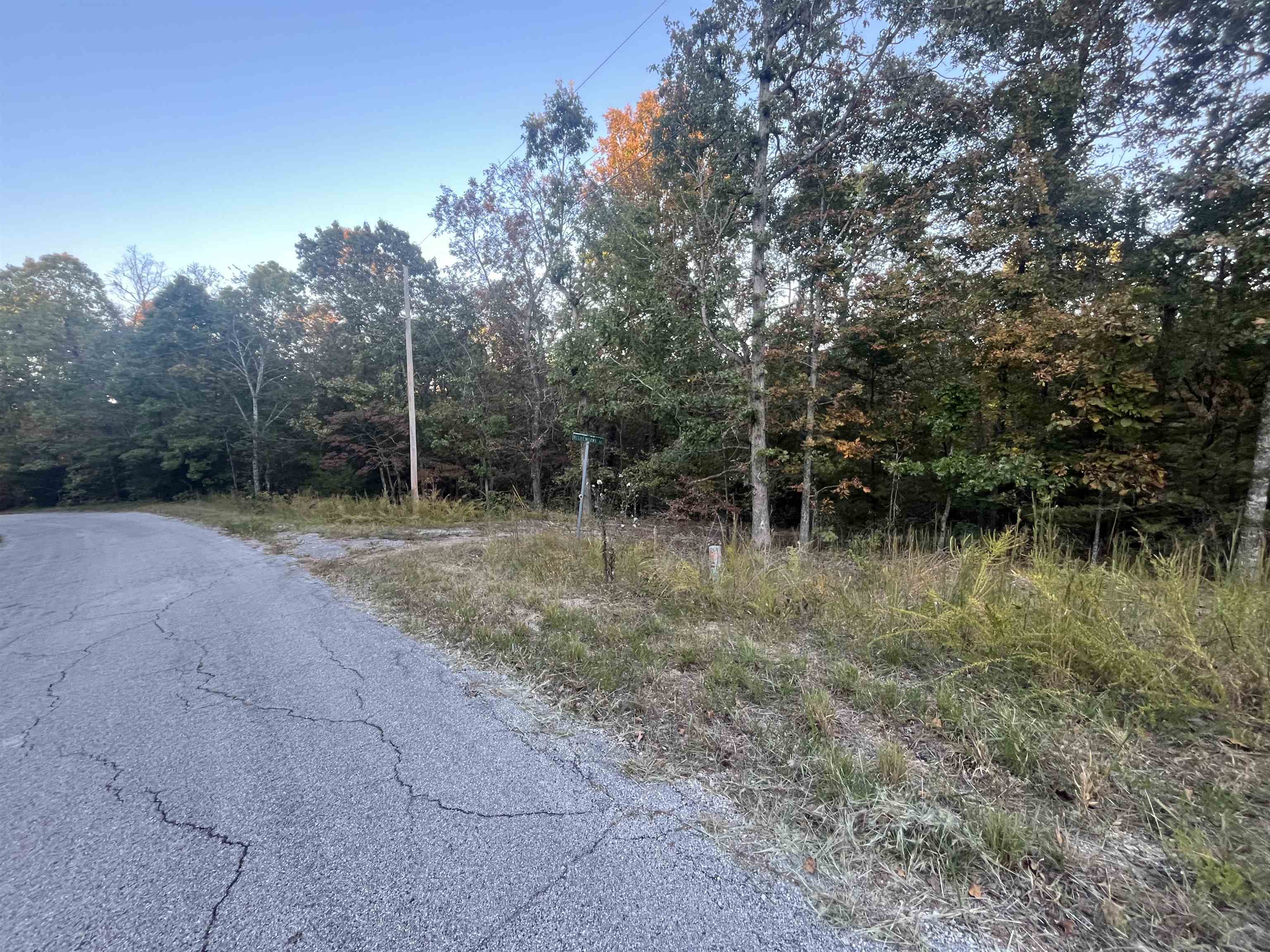 Photo 2 - Vacant Land for sale – TBD  Mishemokwa   Cherokee Village, AR