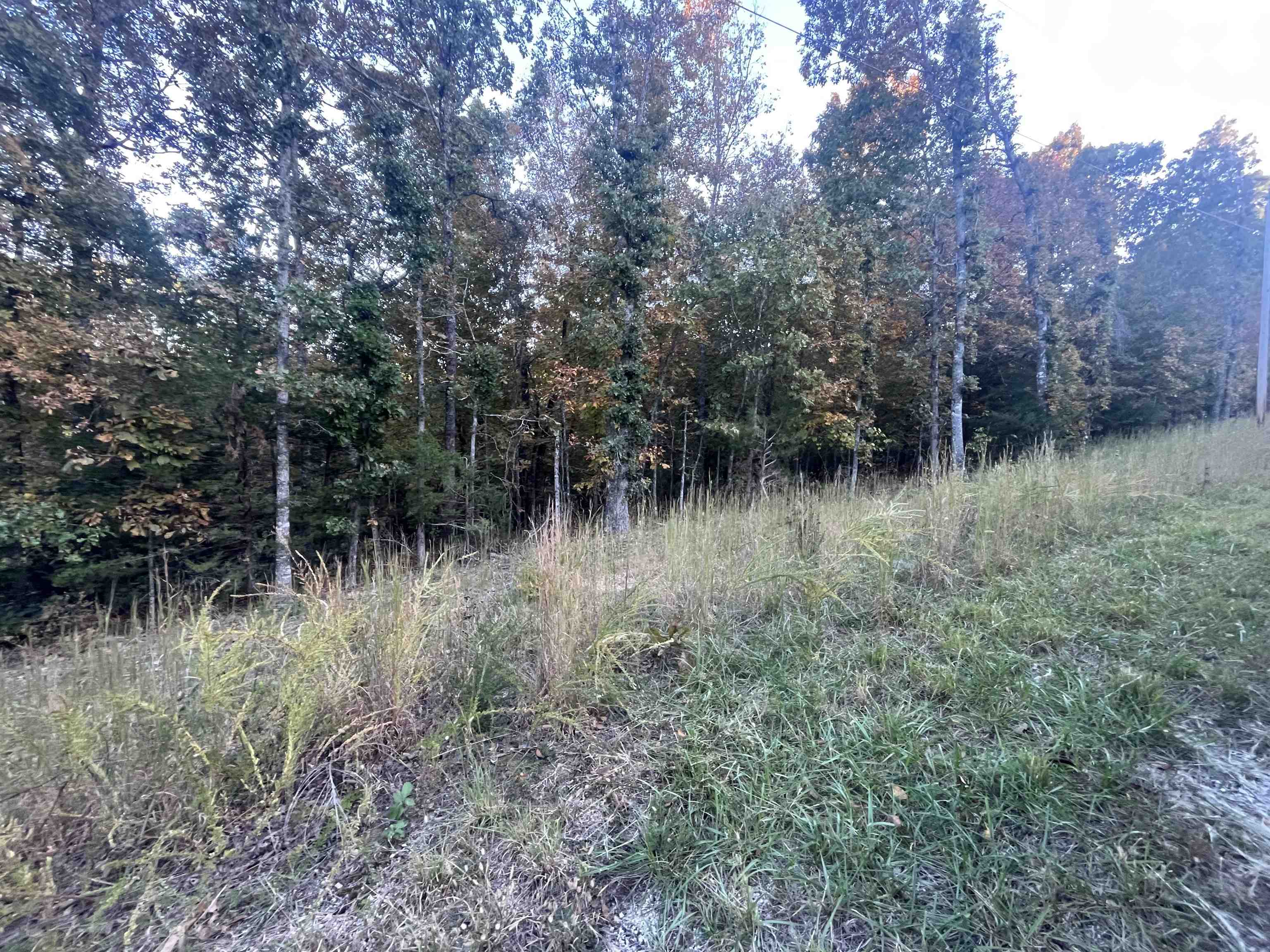 Photo 3 - Vacant Land for sale – TBD  Mishemokwa   Cherokee Village, AR