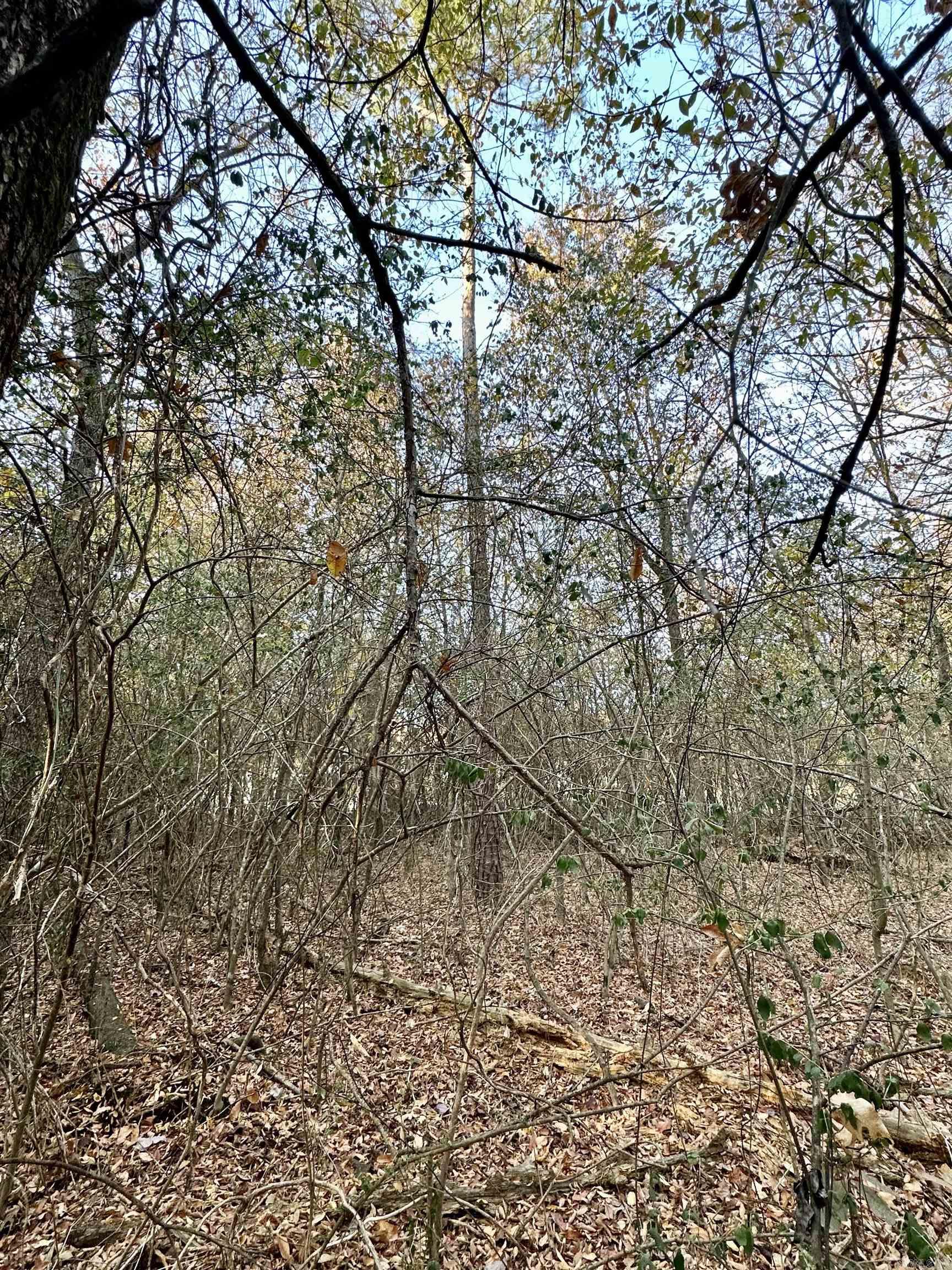 Farm/Ranch/Land for sale –  Mena, 