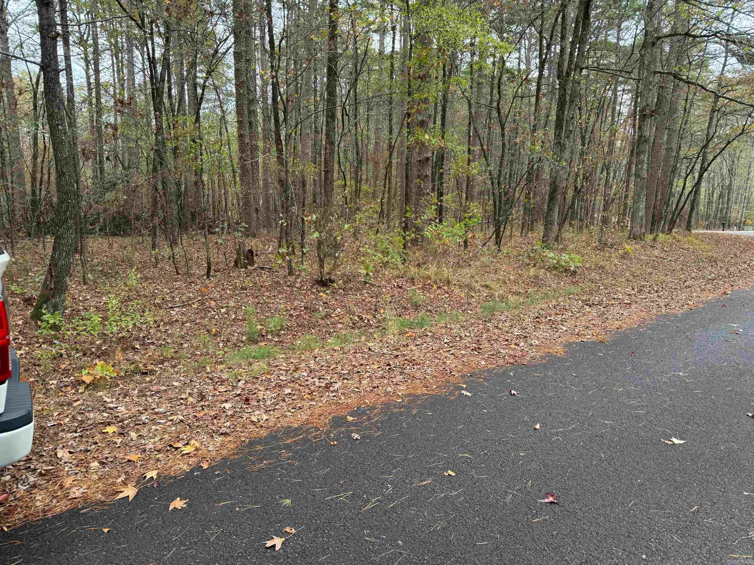 Photo 2 - Vacant Land for sale – 16  CAMPO WAY   Hot Springs Village, AR