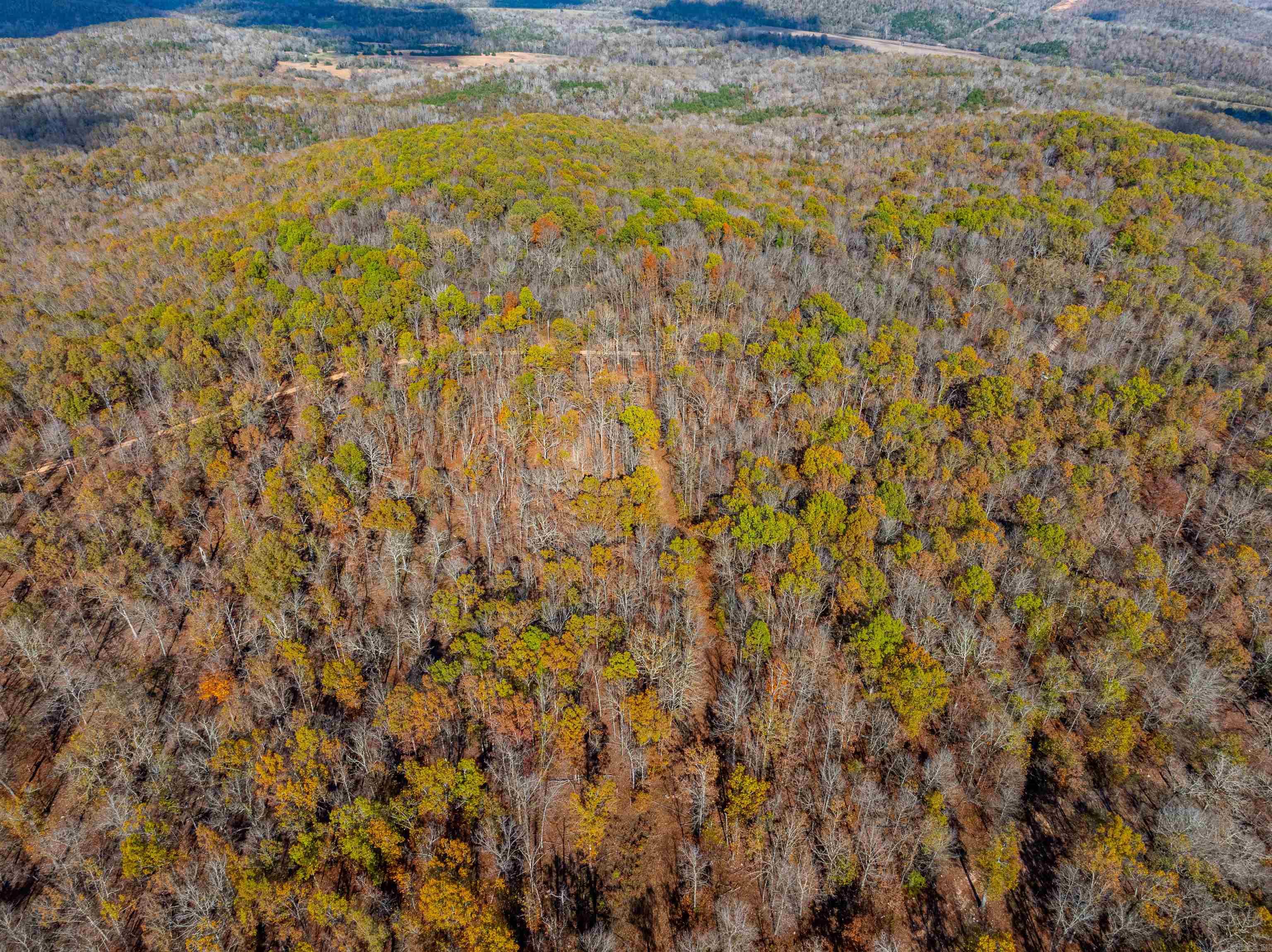 Photo 11 - Vacant Land for sale –   River Rd   Hardy, AR