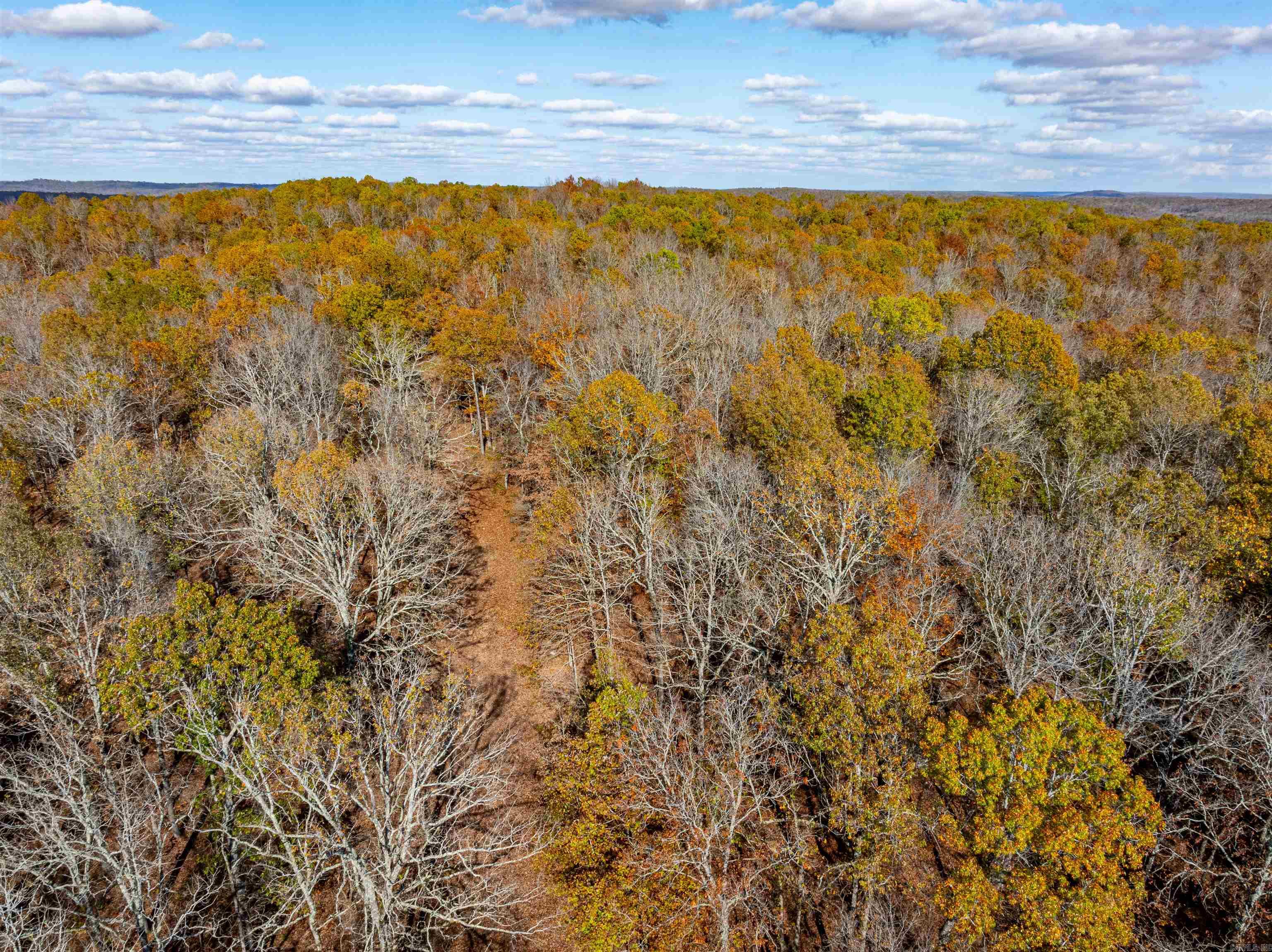 Photo 12 - Vacant Land for sale –   River Rd   Hardy, AR