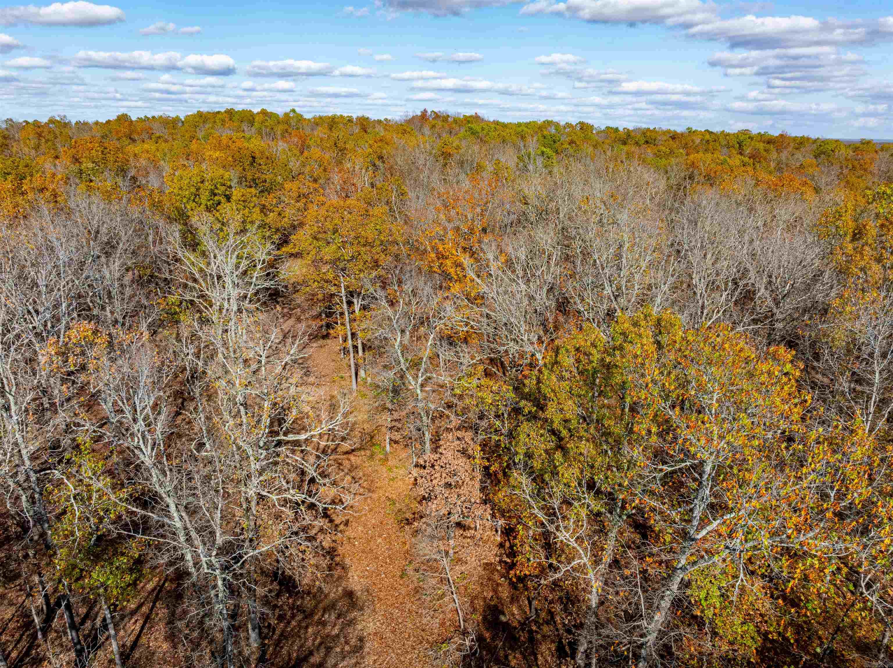Photo 13 - Vacant Land for sale –   River Rd   Hardy, AR