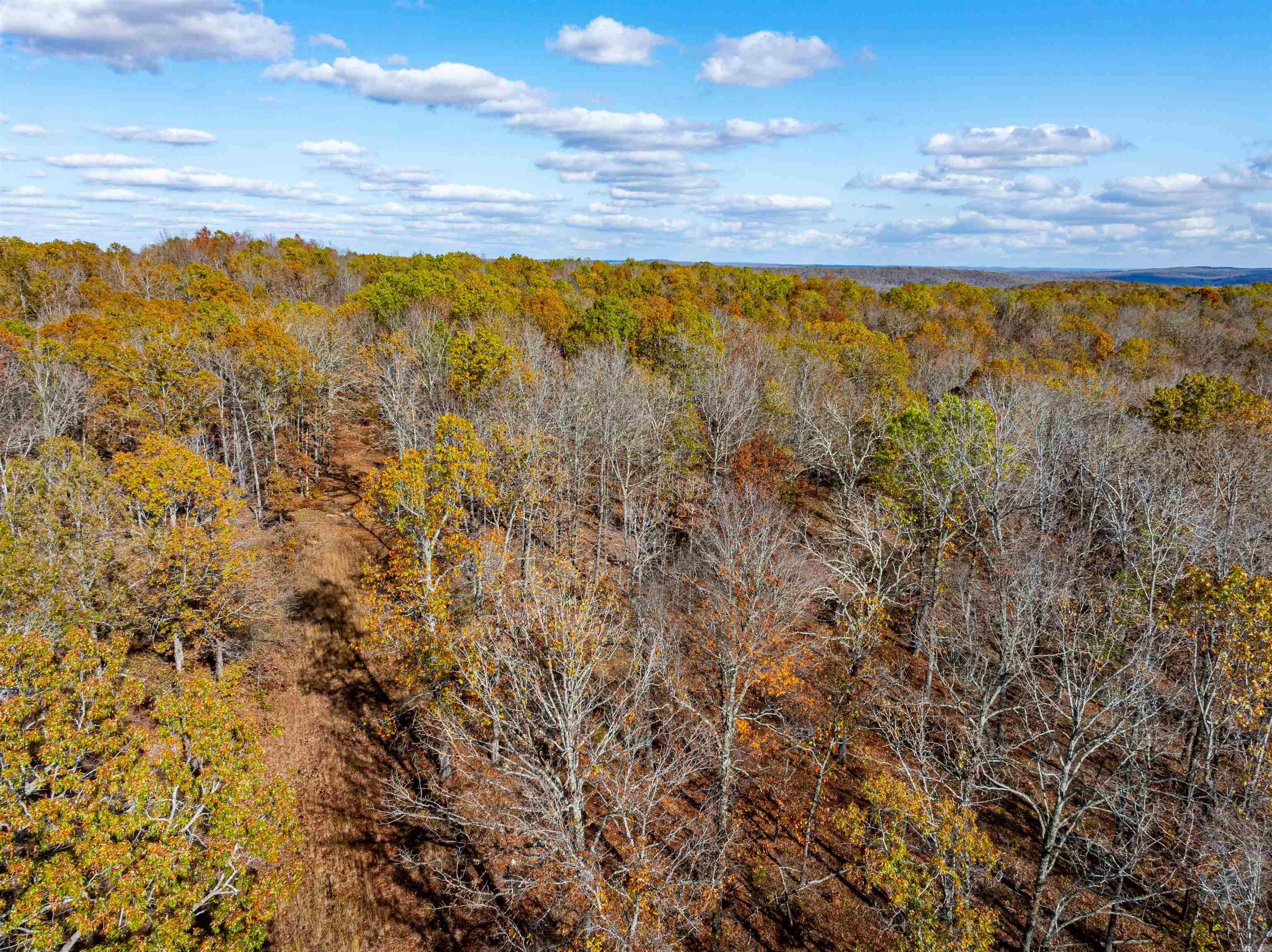 Photo 14 - Vacant Land for sale –   River Rd   Hardy, AR