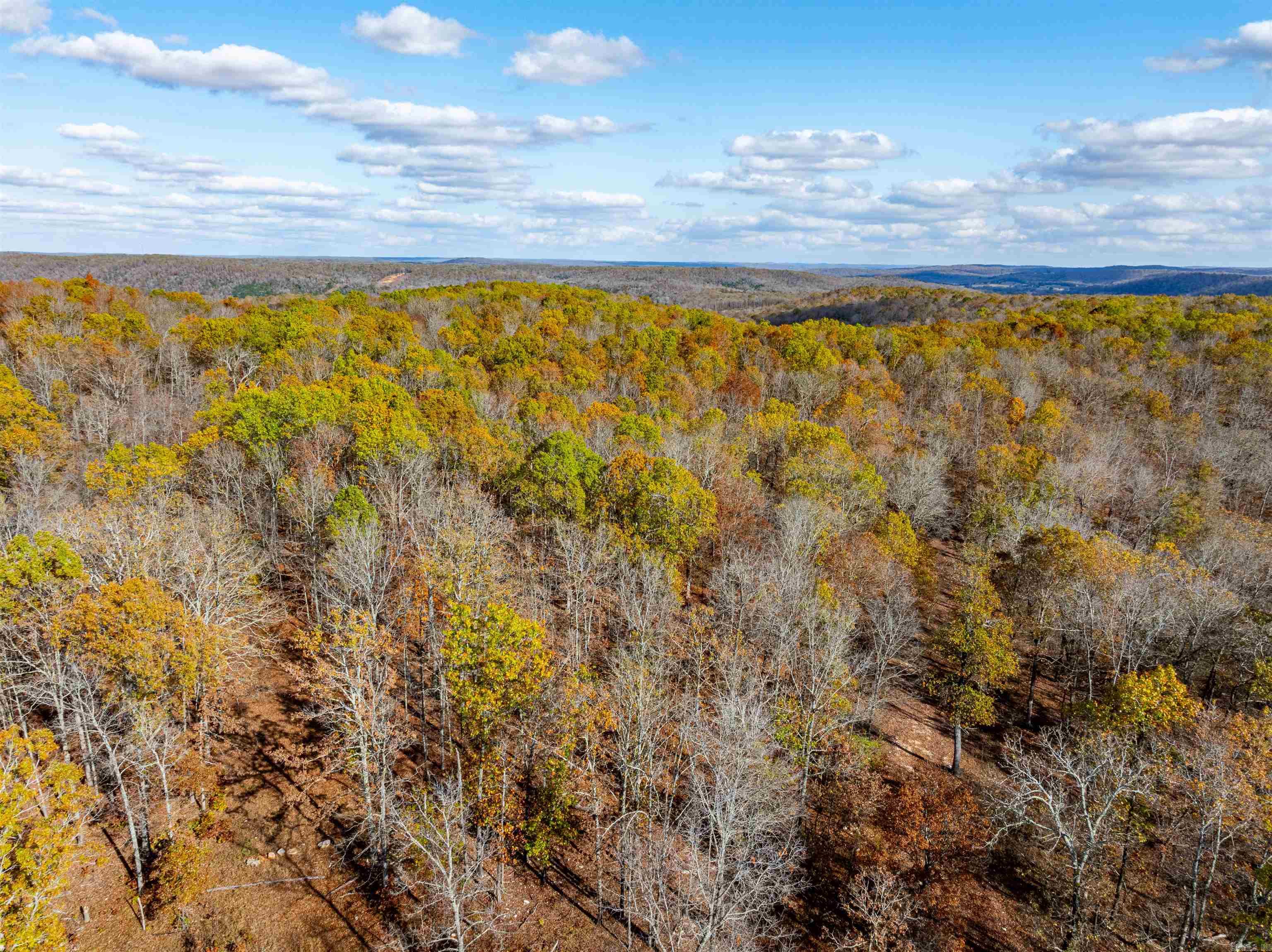 Photo 15 - Vacant Land for sale –   River Rd   Hardy, AR