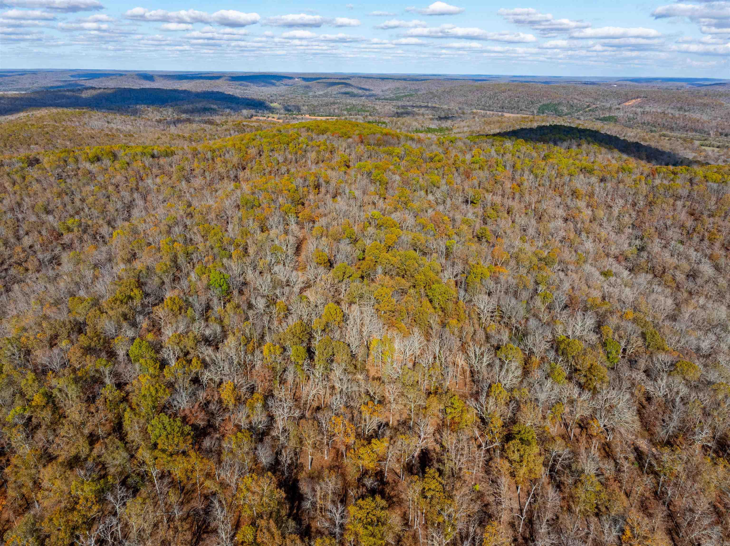 Photo 16 - Vacant Land for sale –   River Rd   Hardy, AR