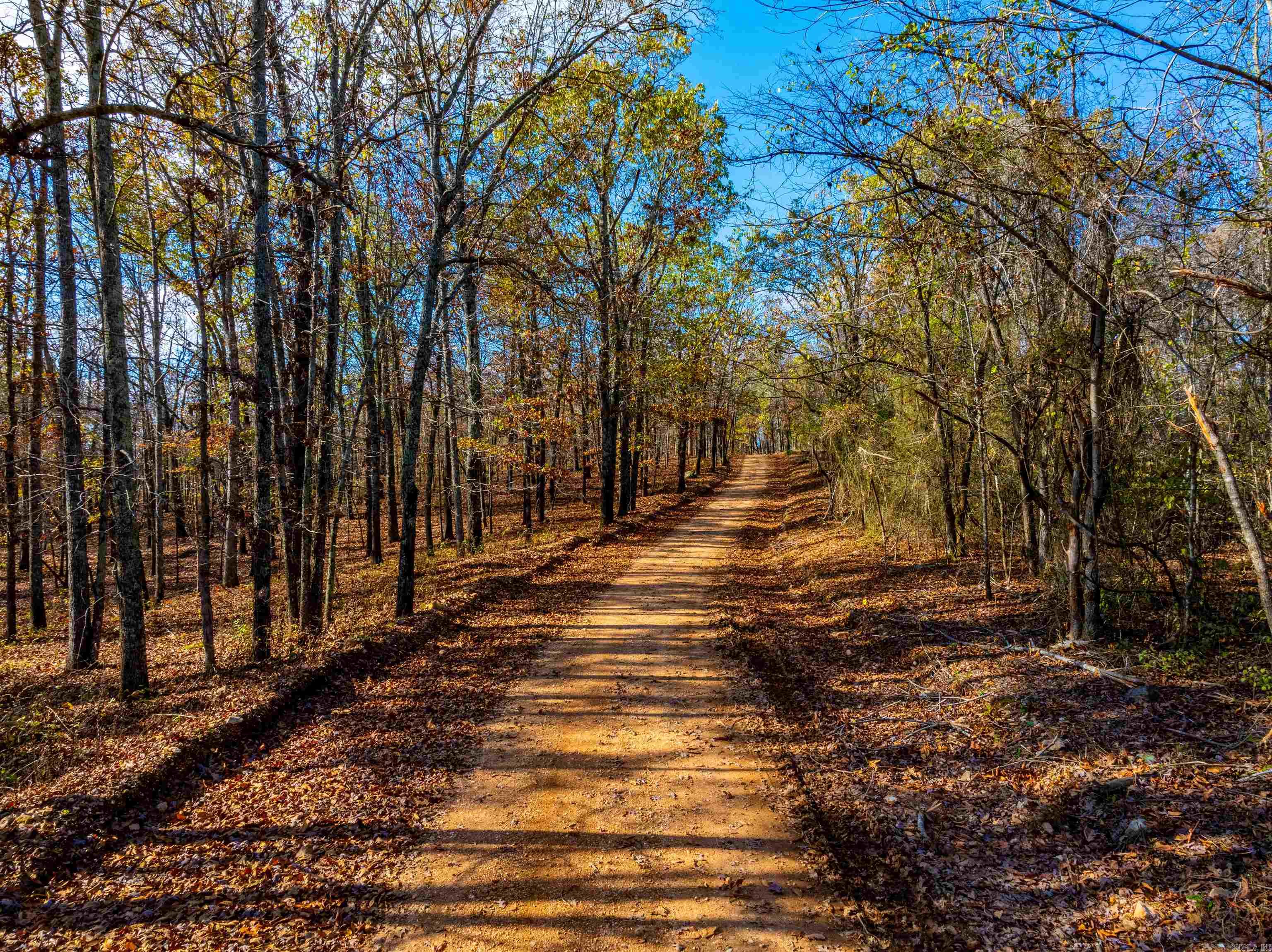 Photo 17 - Vacant Land for sale –   River Rd   Hardy, AR