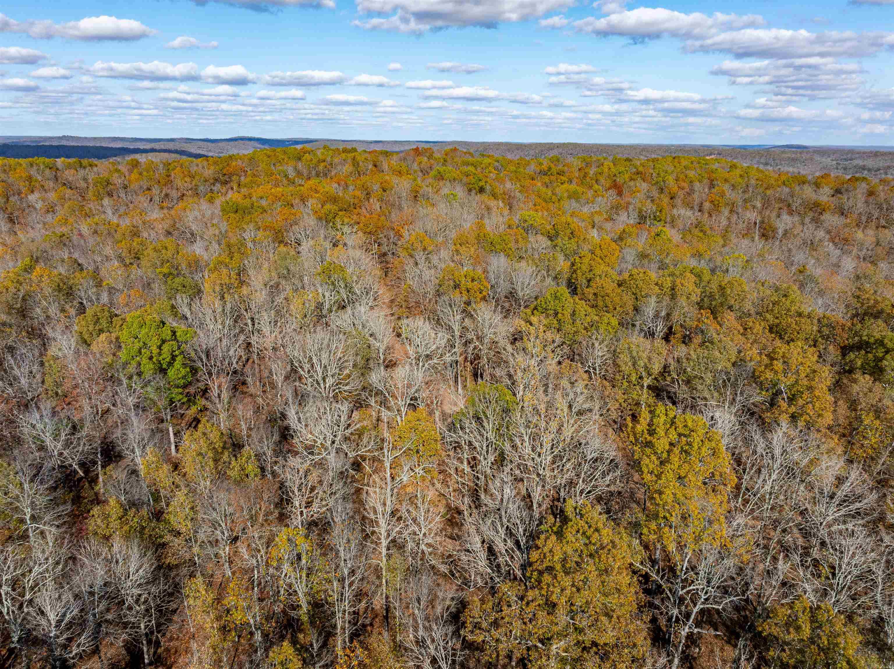 Photo 3 - Vacant Land for sale –   River Rd   Hardy, AR