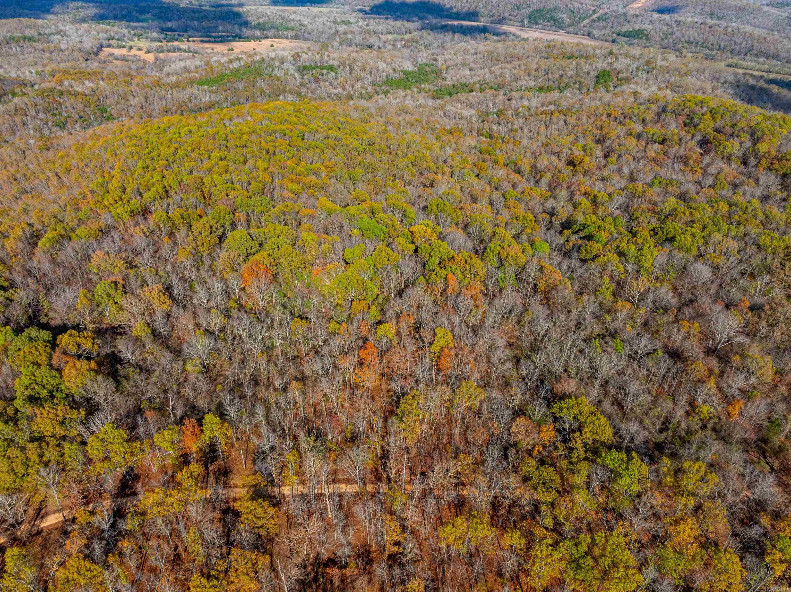 Photo 4 - Vacant Land for sale –   River Rd   Hardy, AR