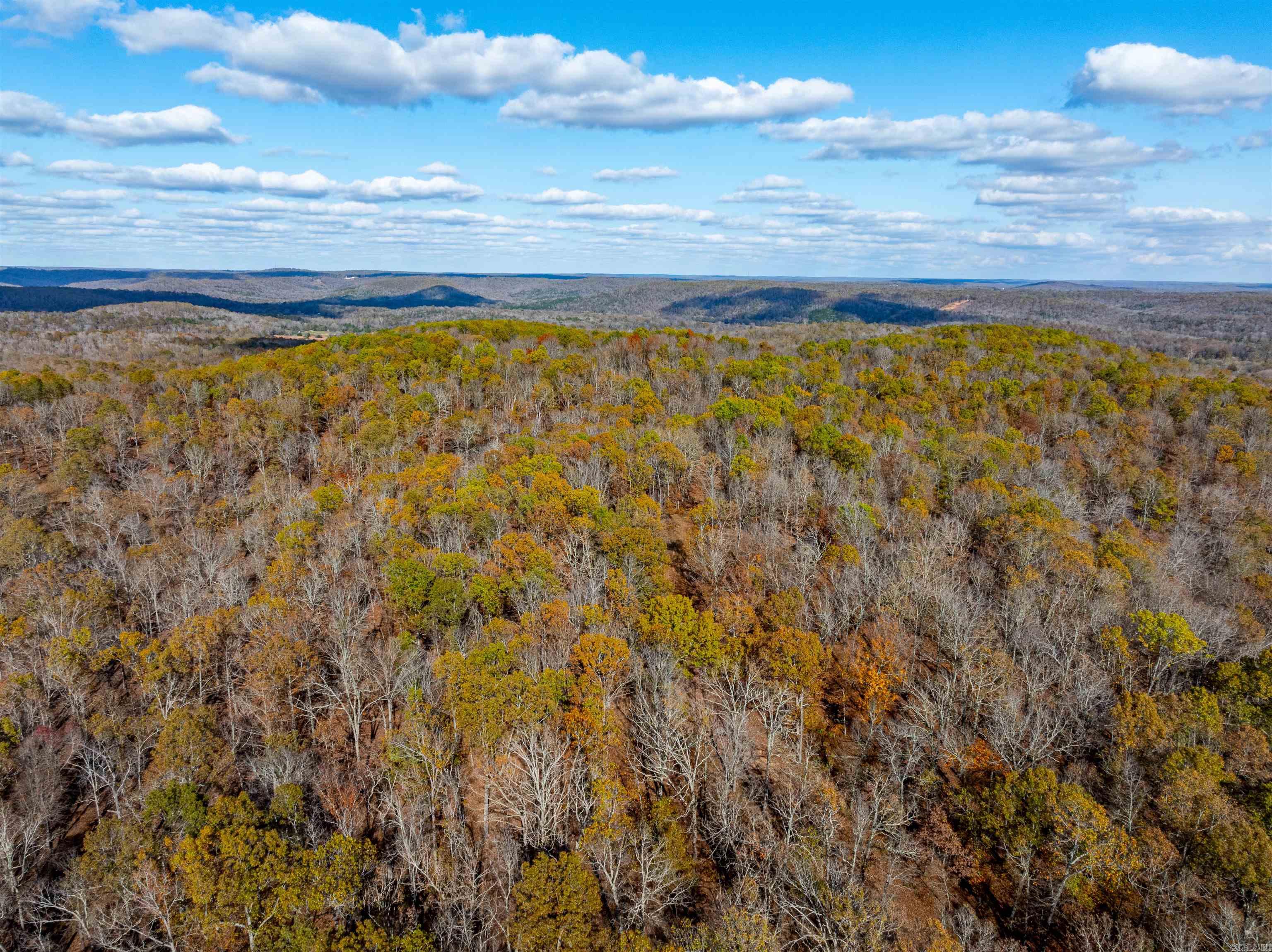 Photo 5 - Vacant Land for sale –   River Rd   Hardy, AR