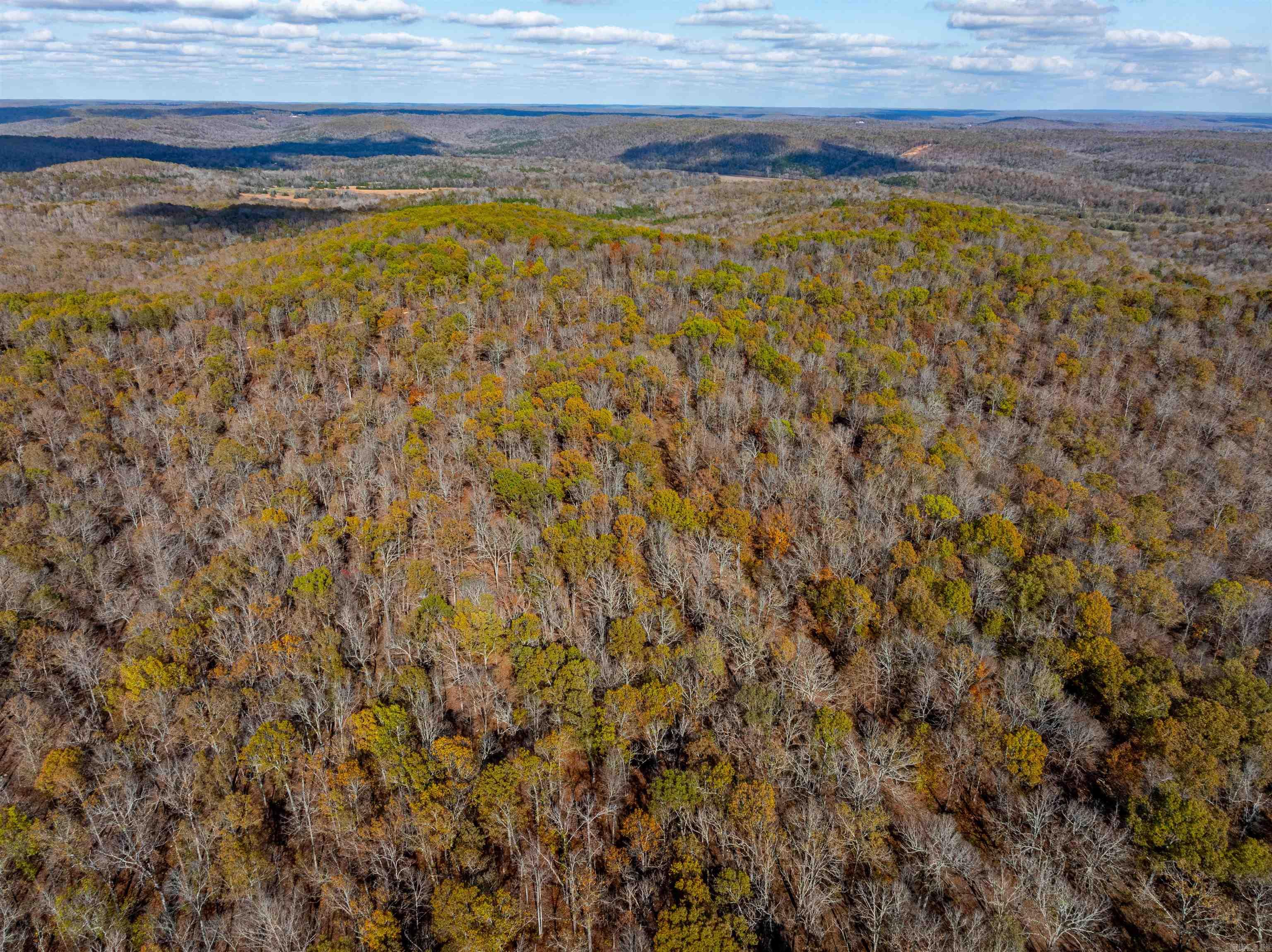 Photo 6 - Vacant Land for sale –   River Rd   Hardy, AR