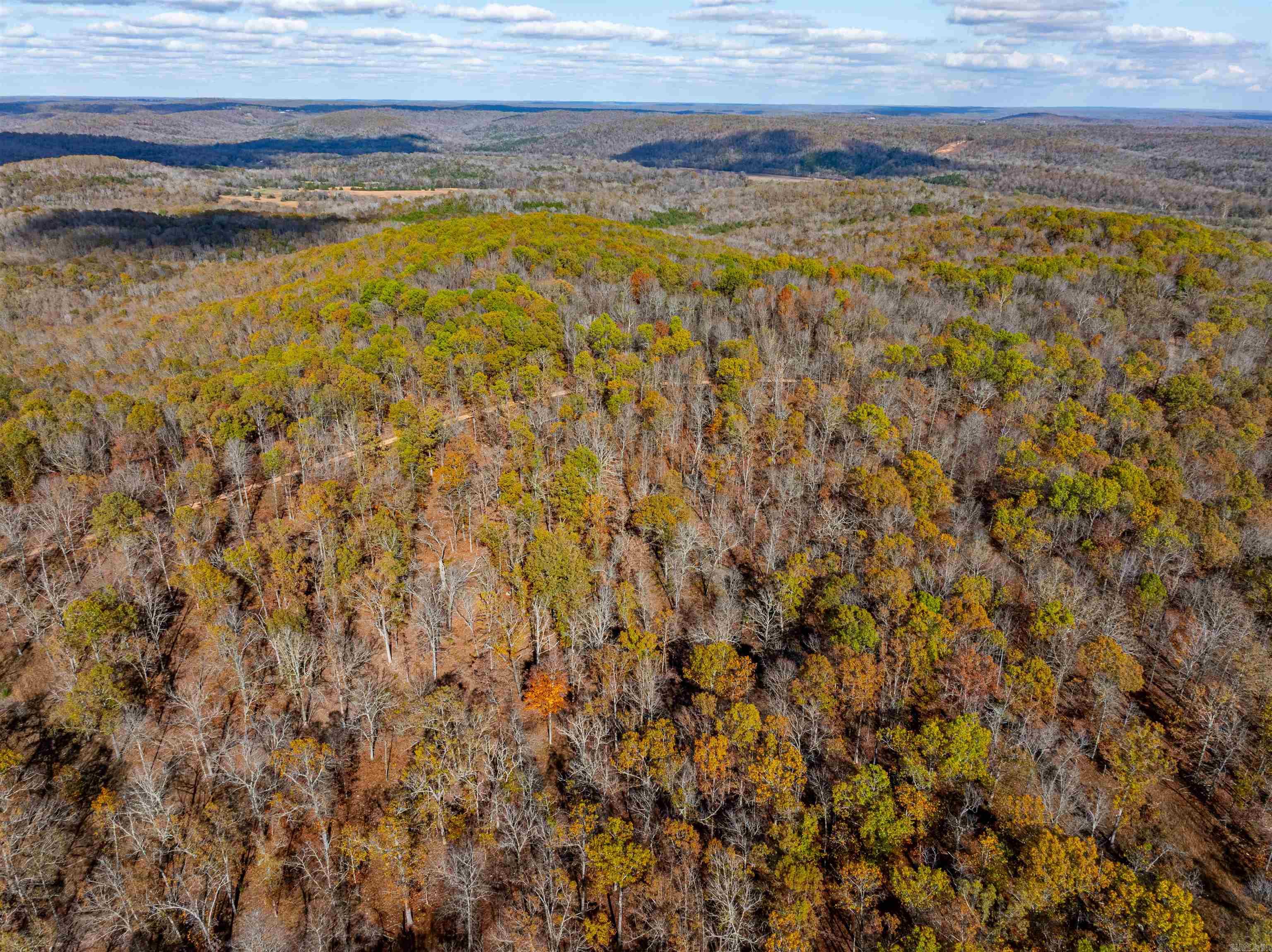 Photo 7 - Vacant Land for sale –   River Rd   Hardy, AR