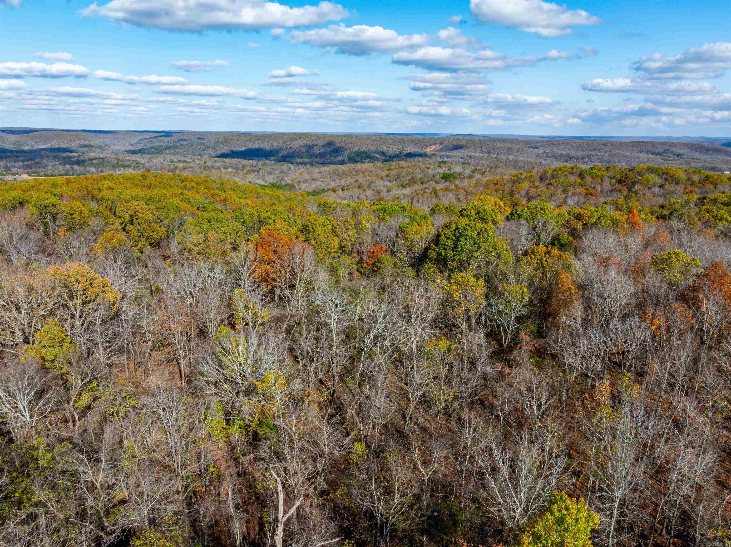 Photo 9 - Vacant Land for sale –   River Rd   Hardy, AR