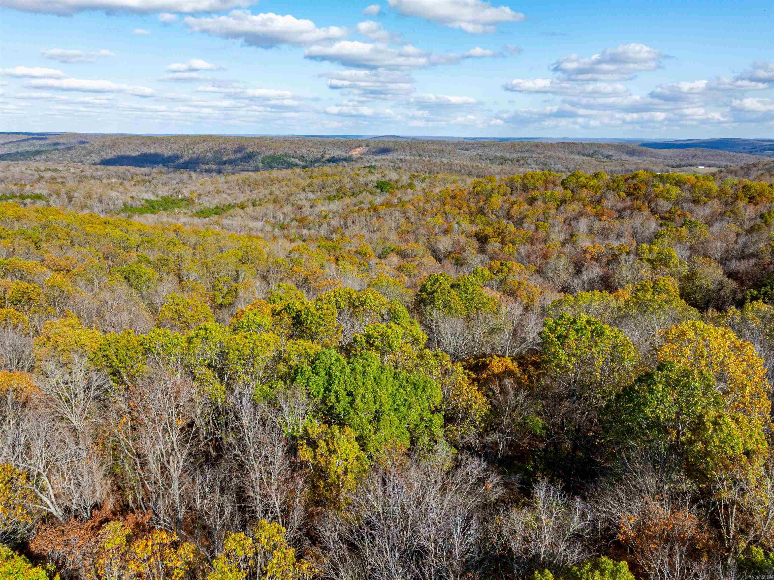 Photo 10 - Vacant Land for sale –   River Rd   Hardy, AR