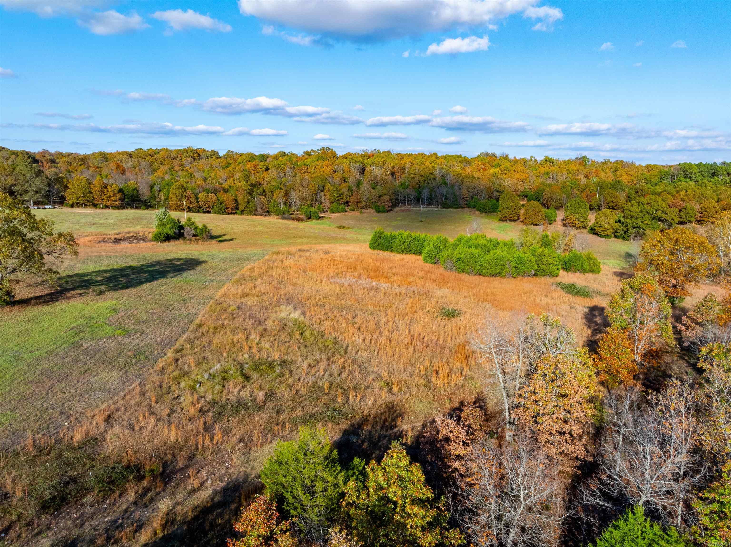 Photo 2 - Vacant Land for sale –   E Maxville Rd   Cave City, AR