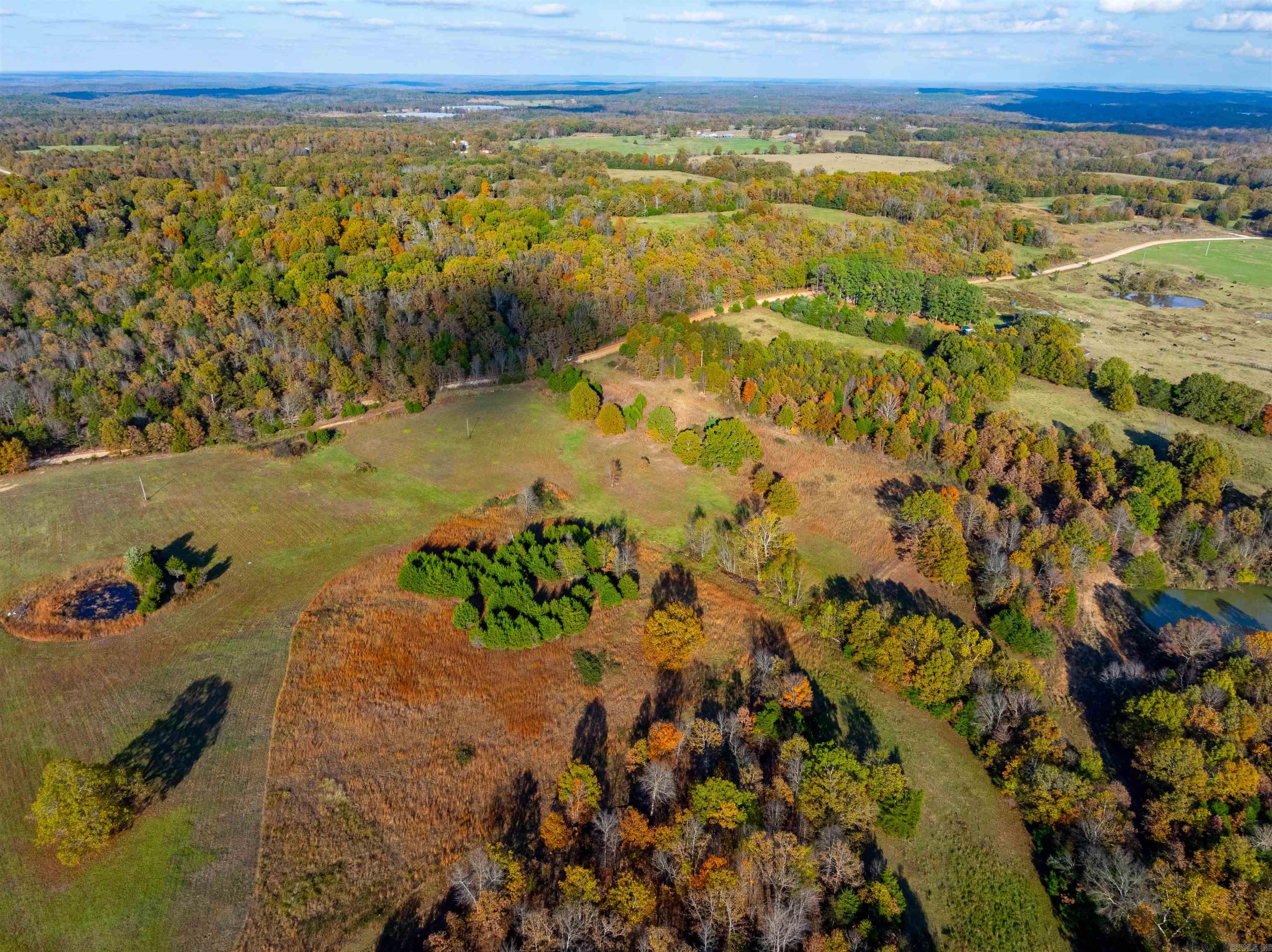 Photo 4 - Vacant Land for sale –   E Maxville Rd   Cave City, AR