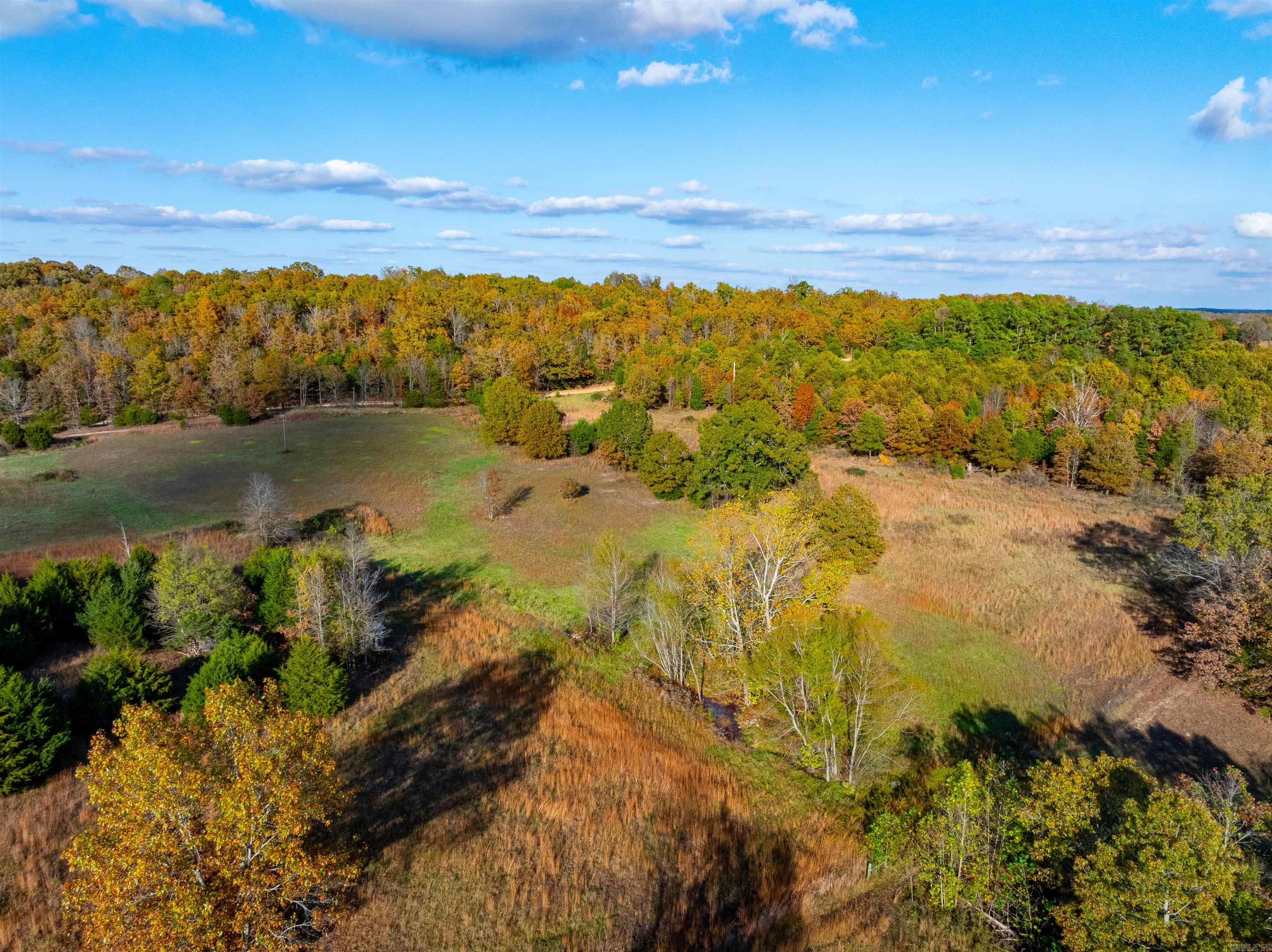 Photo 5 - Vacant Land for sale –   E Maxville Rd   Cave City, AR