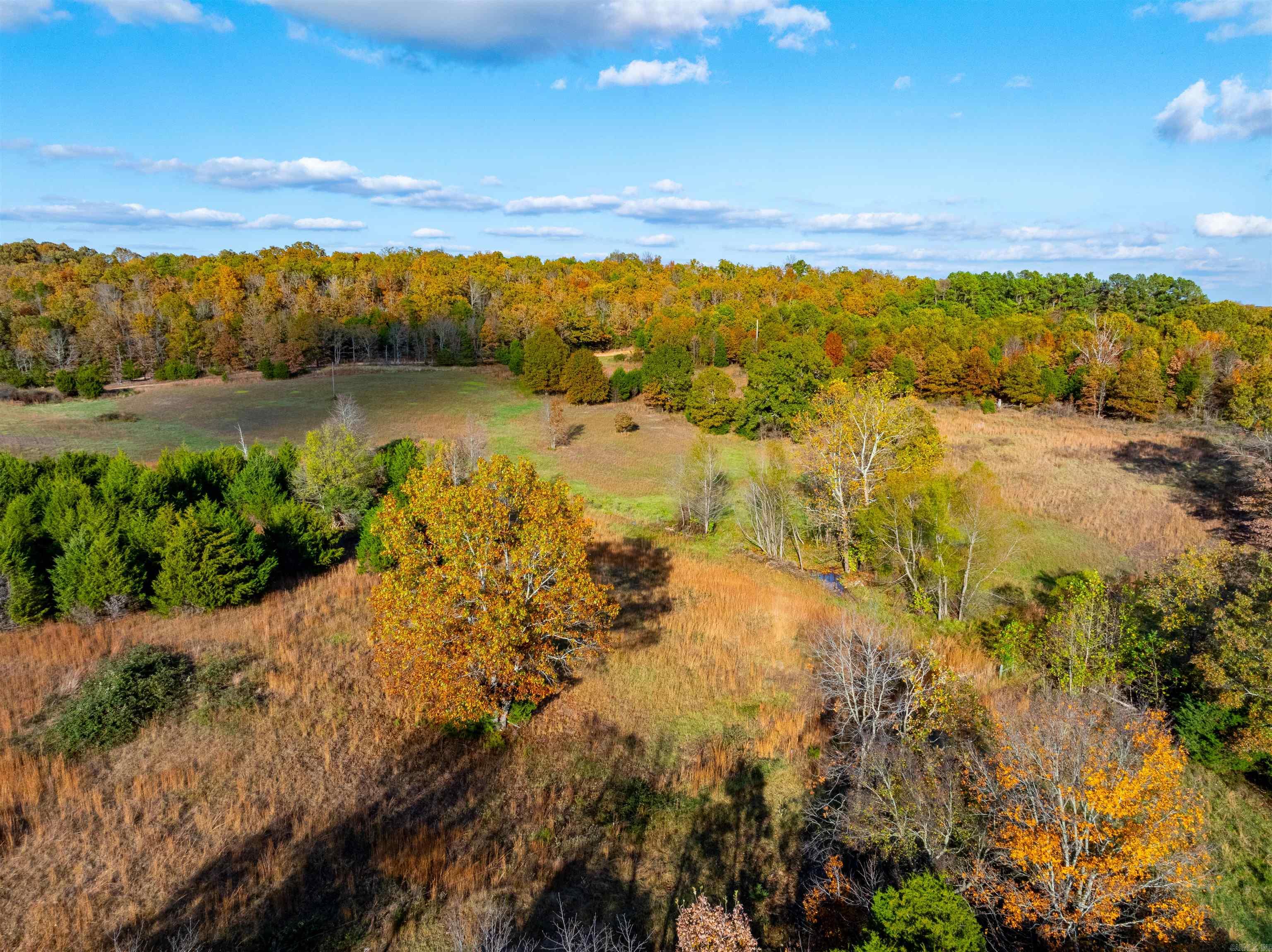 Photo 6 - Vacant Land for sale –   E Maxville Rd   Cave City, AR