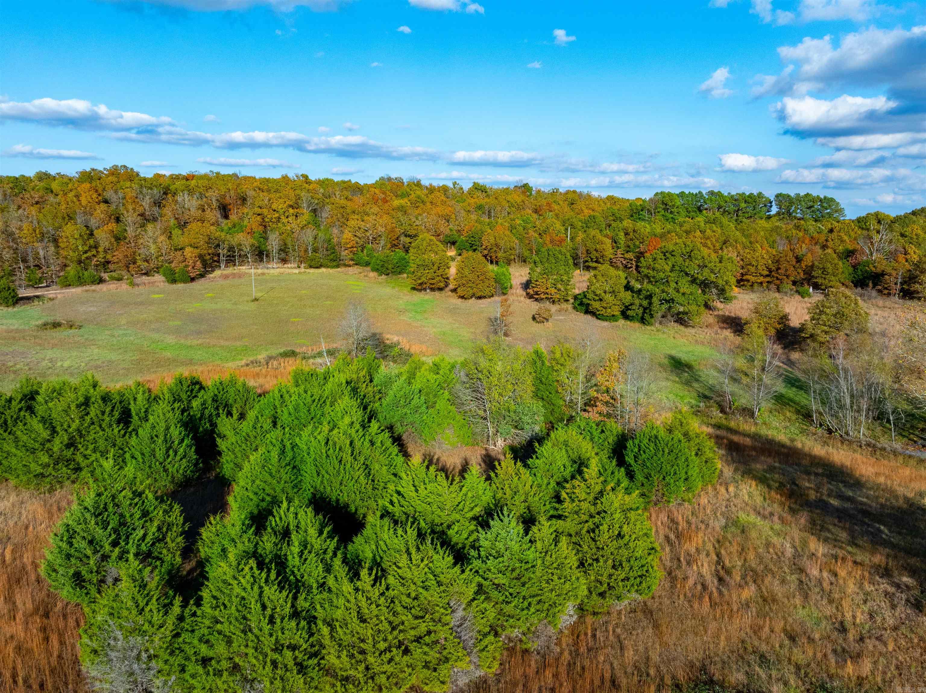 Photo 9 - Vacant Land for sale –   E Maxville Rd   Cave City, AR