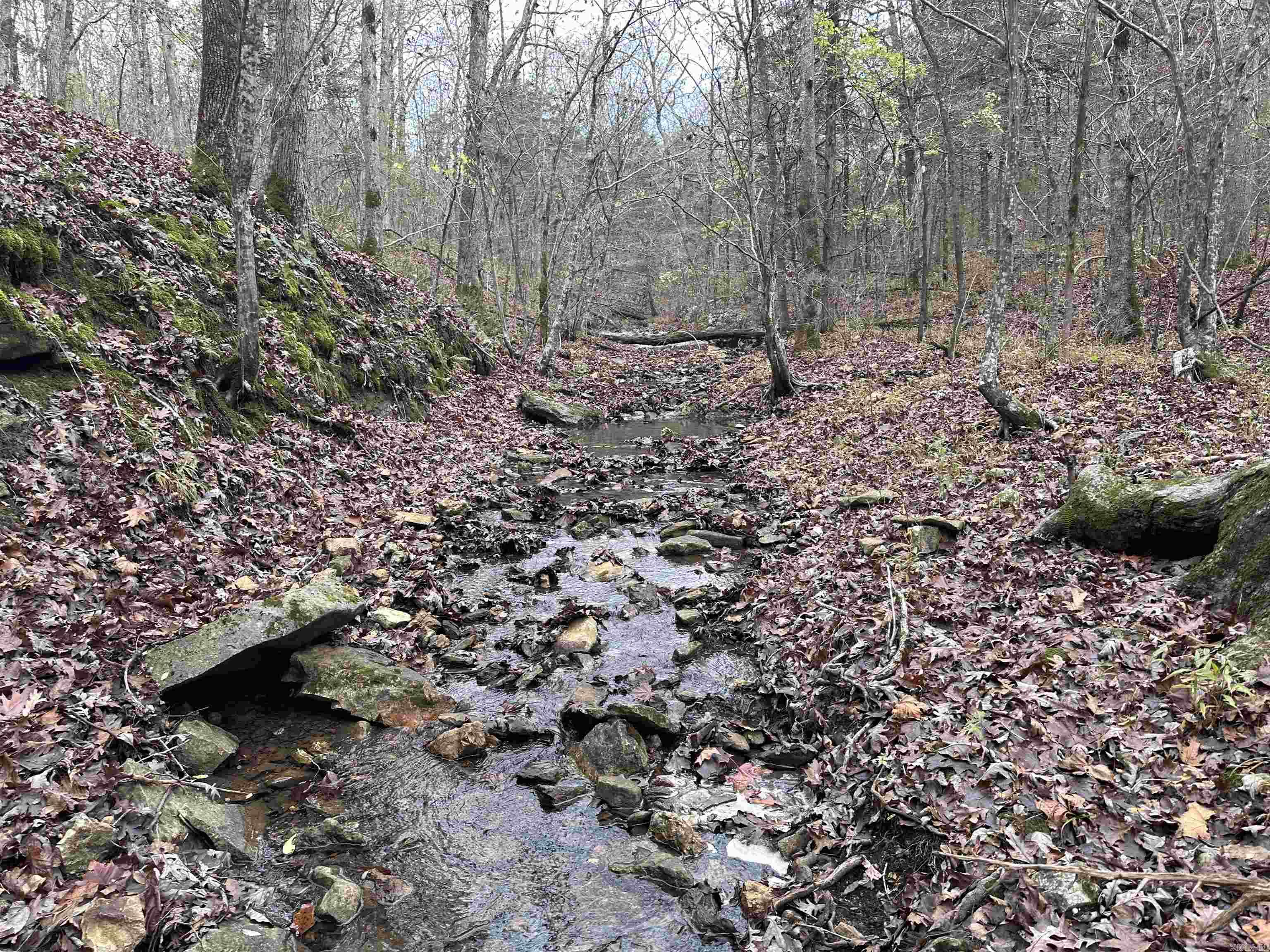 Photo 11 - Vacant Land for sale –   Hulett Rd   Evening Shade, AR