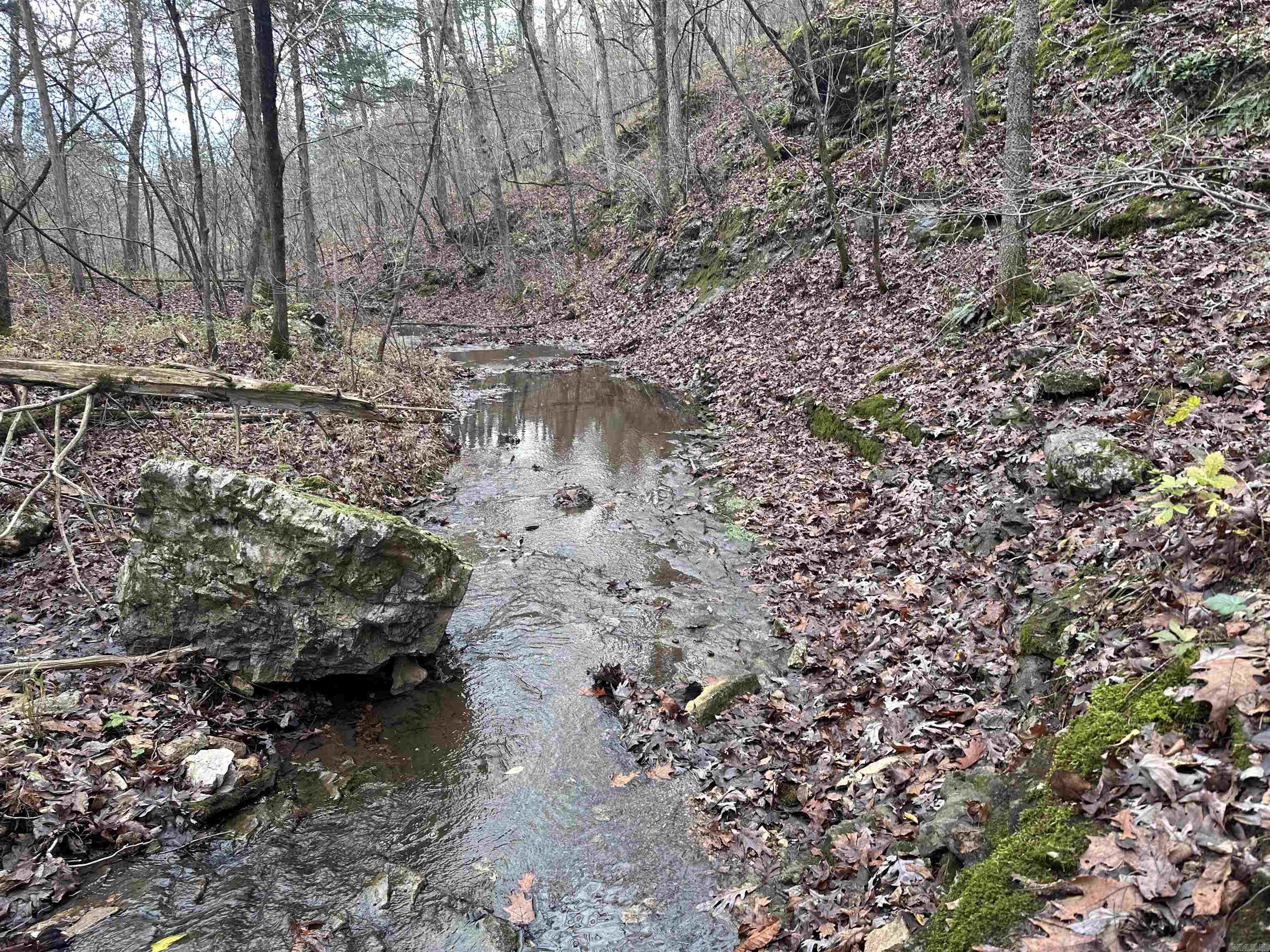 Photo 12 - Vacant Land for sale –   Hulett Rd   Evening Shade, AR