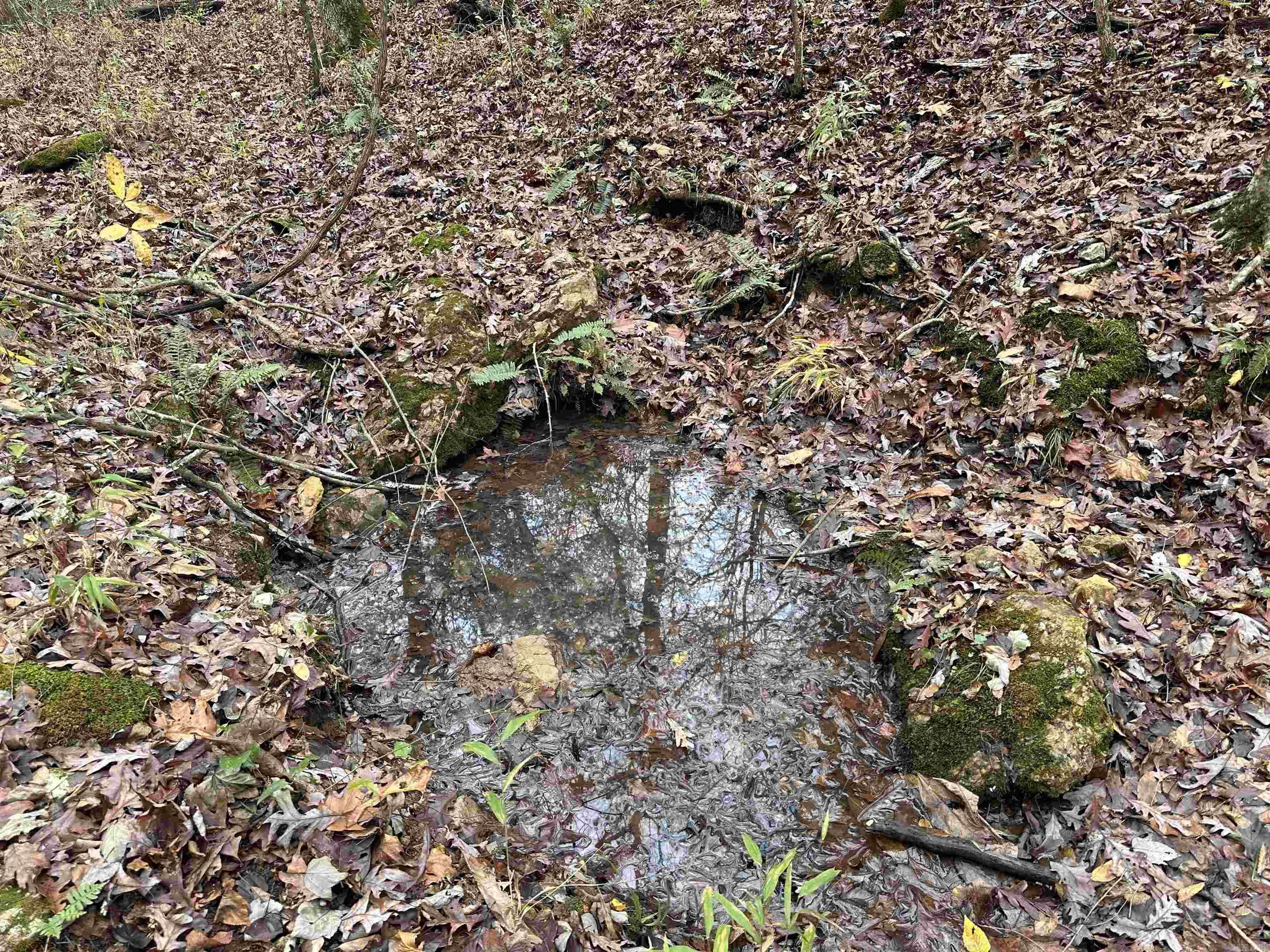 Photo 13 - Vacant Land for sale –   Hulett Rd   Evening Shade, AR