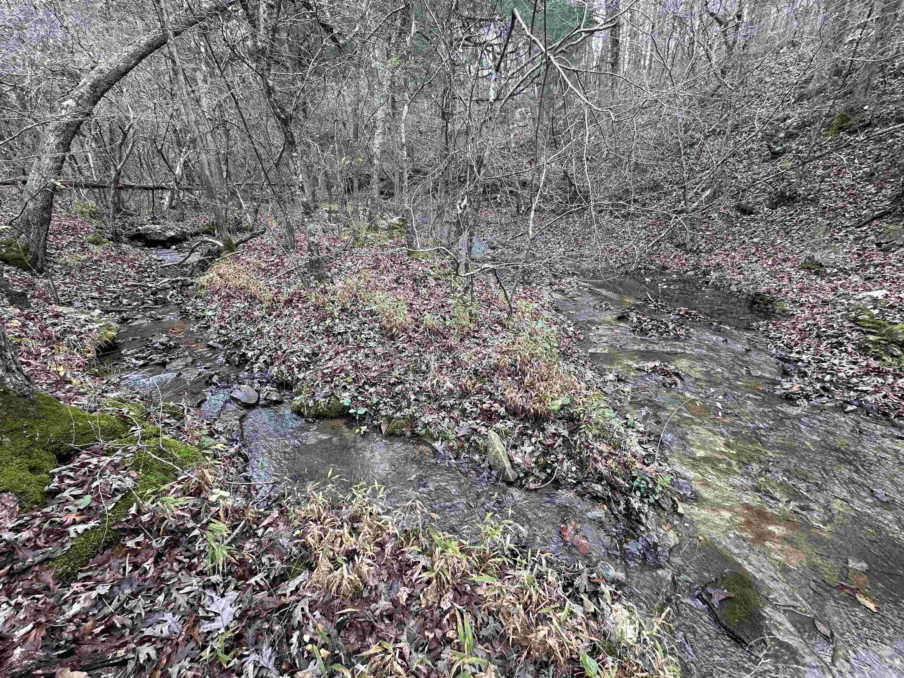 Photo 14 - Vacant Land for sale –   Hulett Rd   Evening Shade, AR
