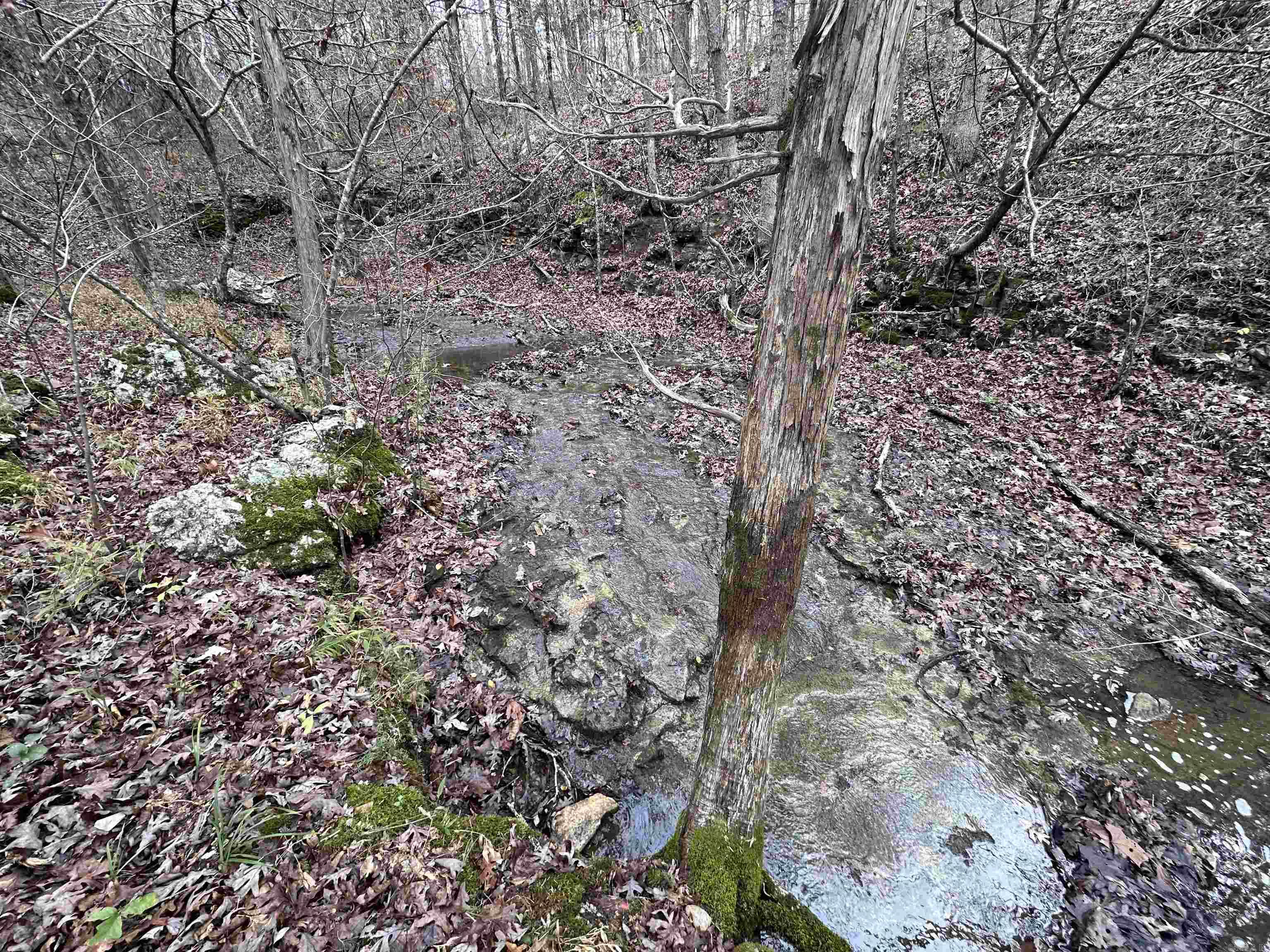Photo 15 - Vacant Land for sale –   Hulett Rd   Evening Shade, AR