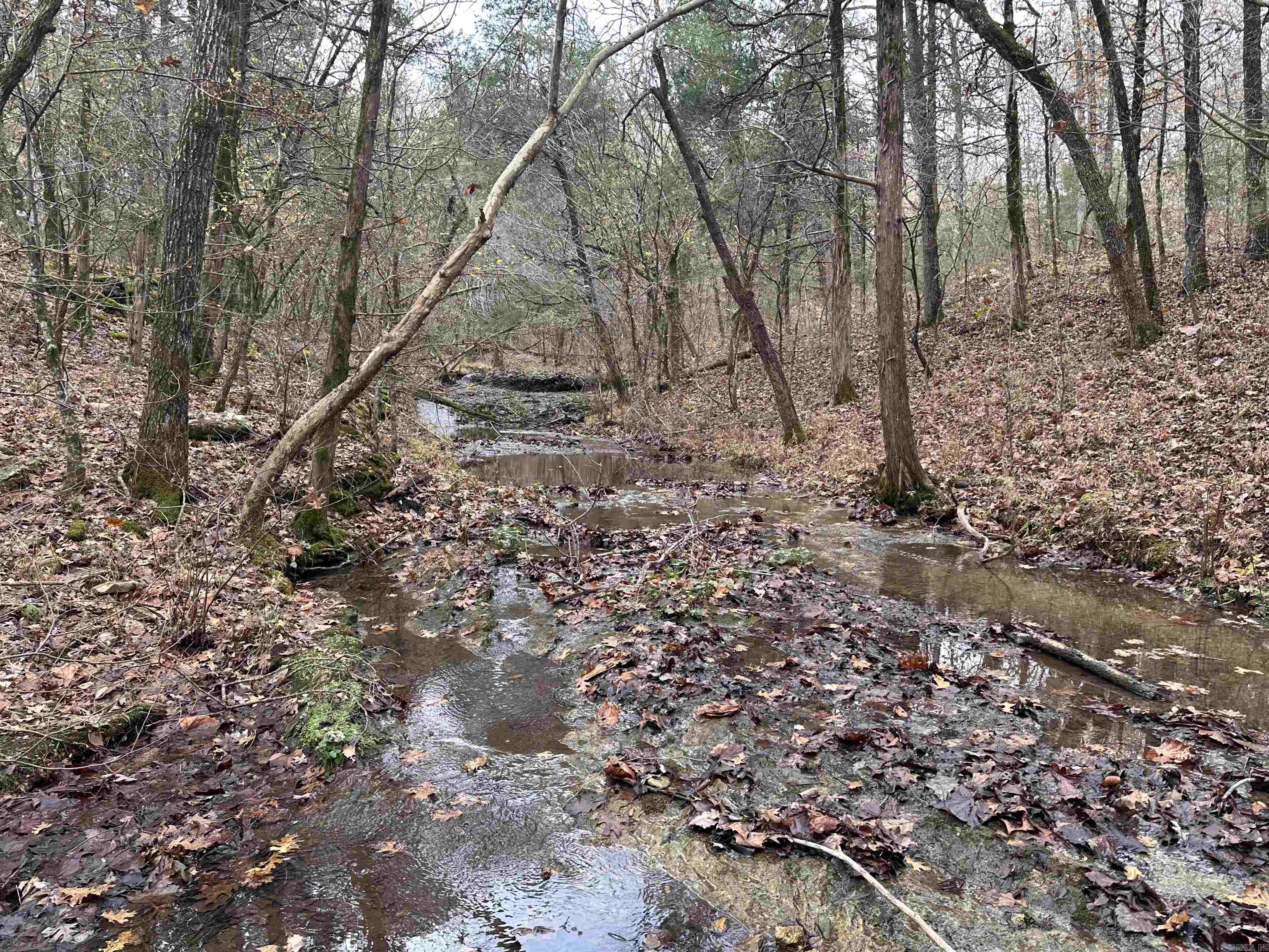Photo 16 - Vacant Land for sale –   Hulett Rd   Evening Shade, AR
