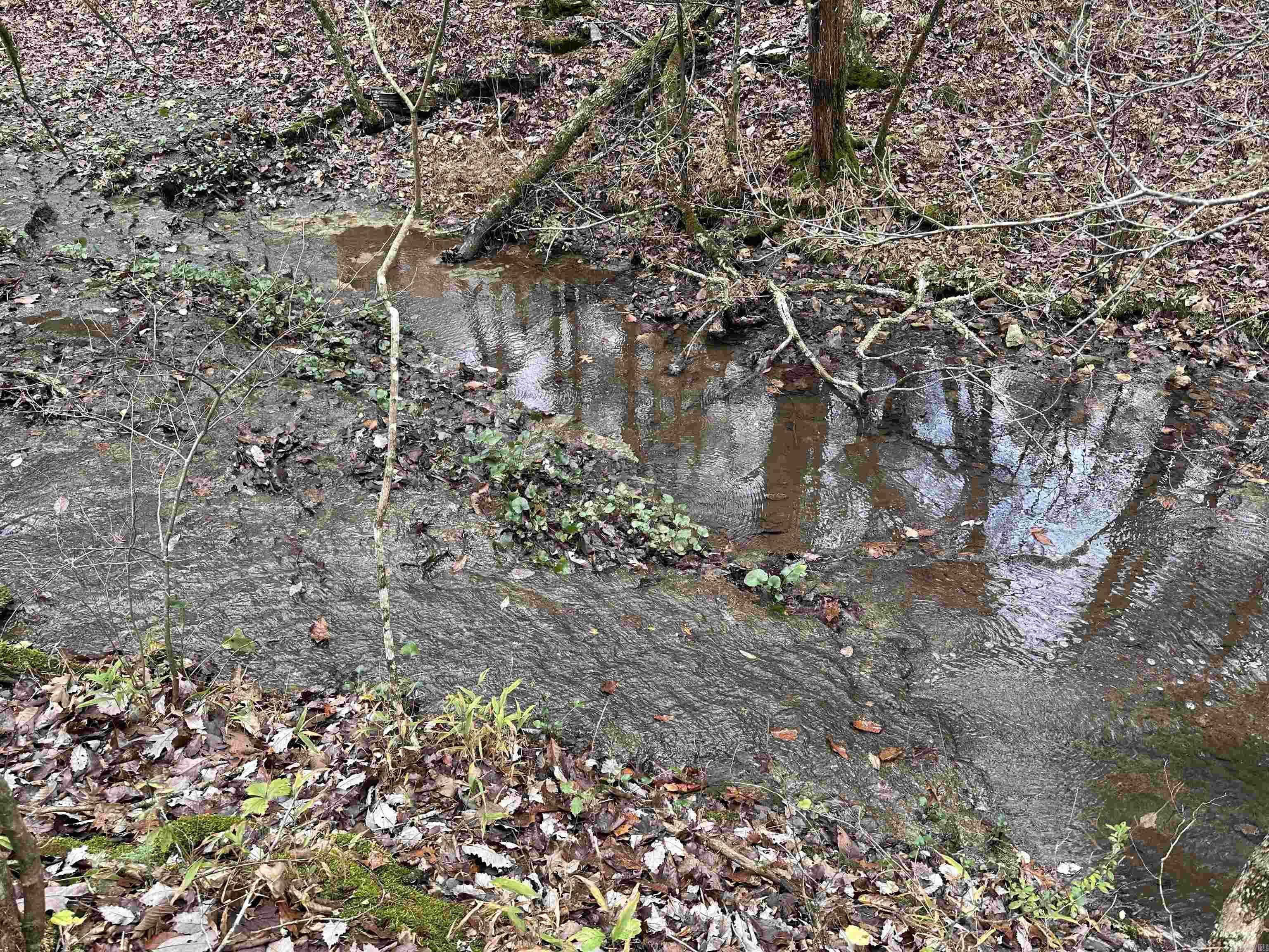 Photo 17 - Vacant Land for sale –   Hulett Rd   Evening Shade, AR