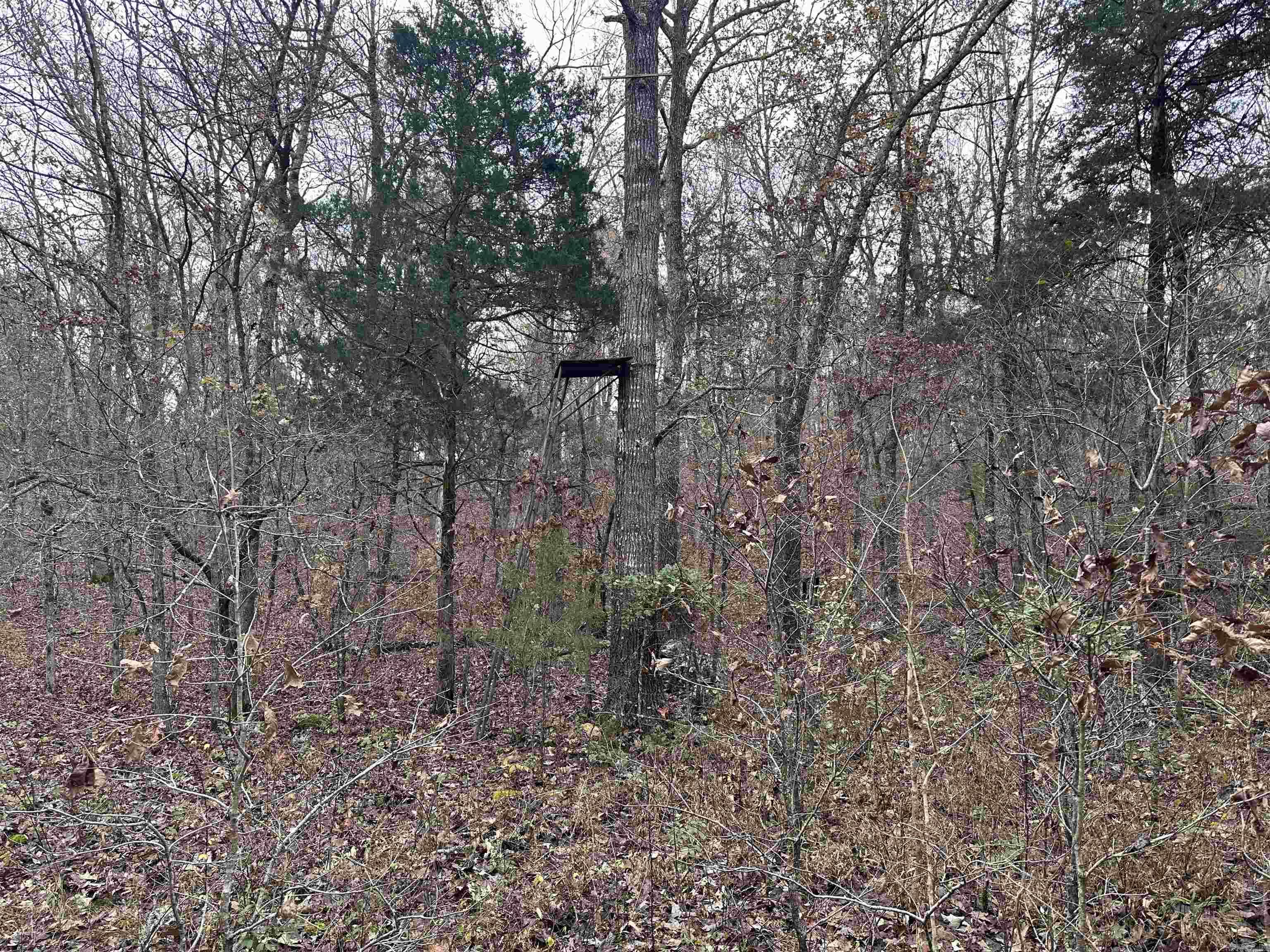 Photo 19 - Vacant Land for sale –   Hulett Rd   Evening Shade, AR