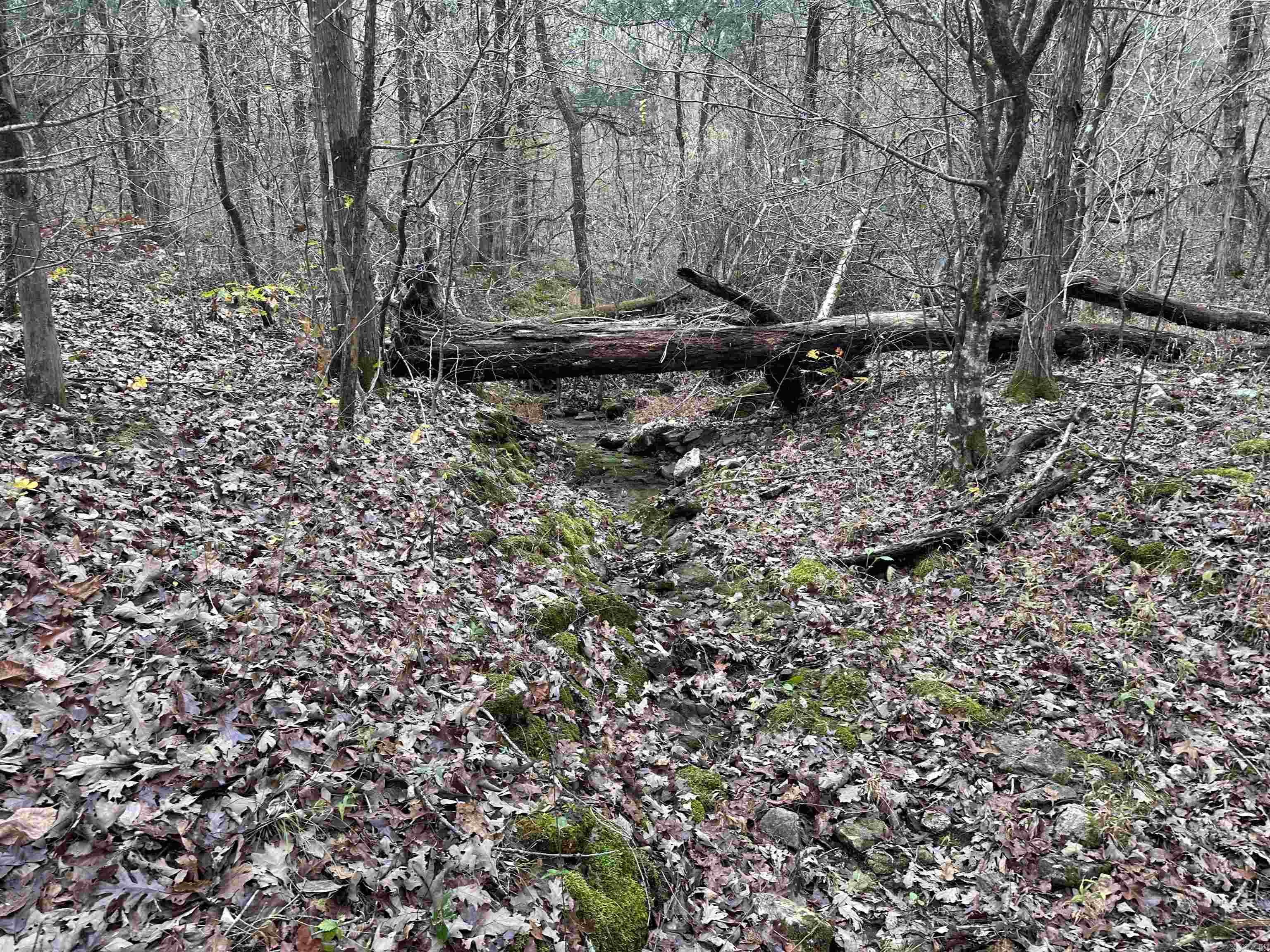 Photo 20 - Vacant Land for sale –   Hulett Rd   Evening Shade, AR