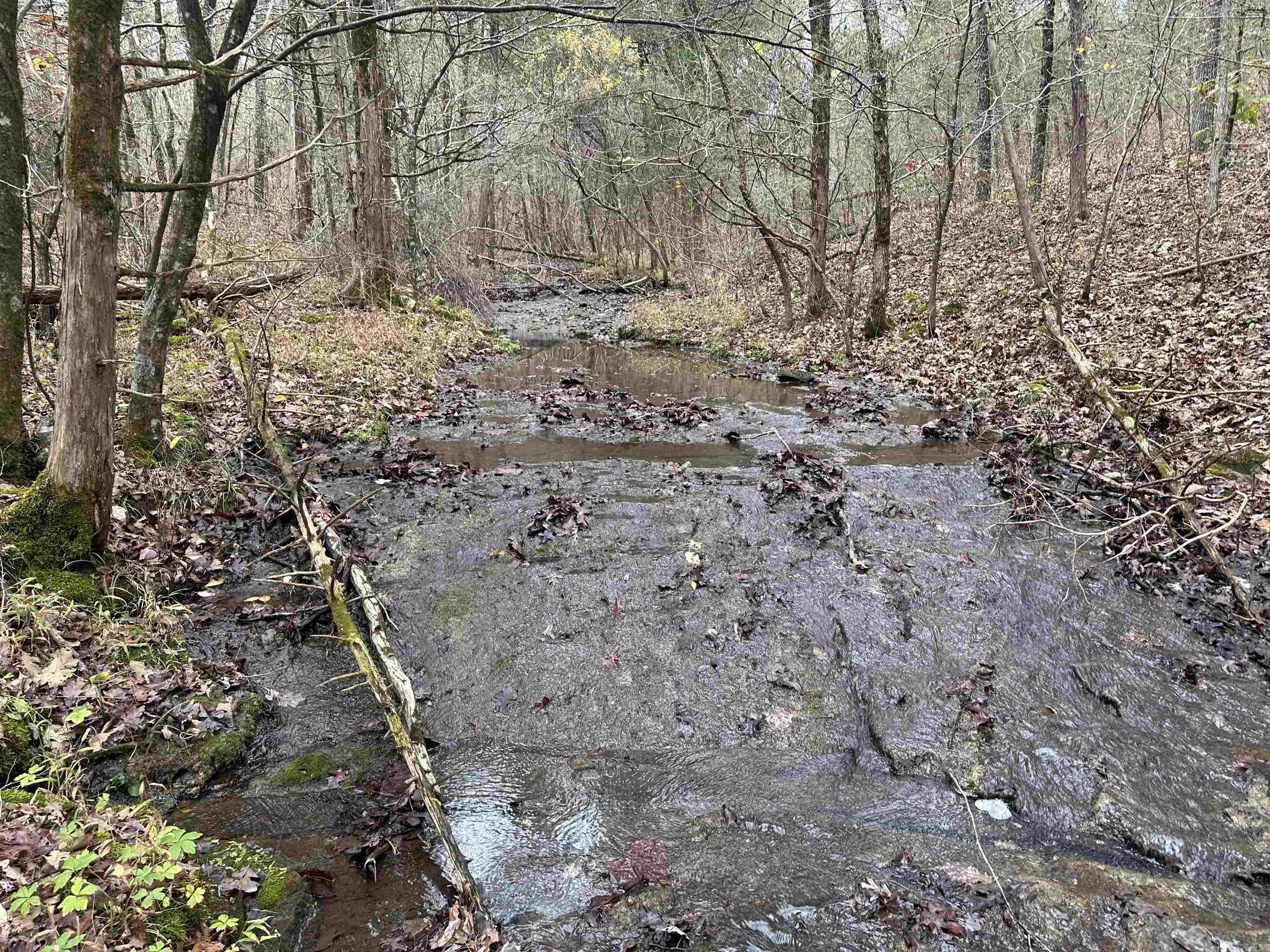 Photo 21 - Vacant Land for sale –   Hulett Rd   Evening Shade, AR