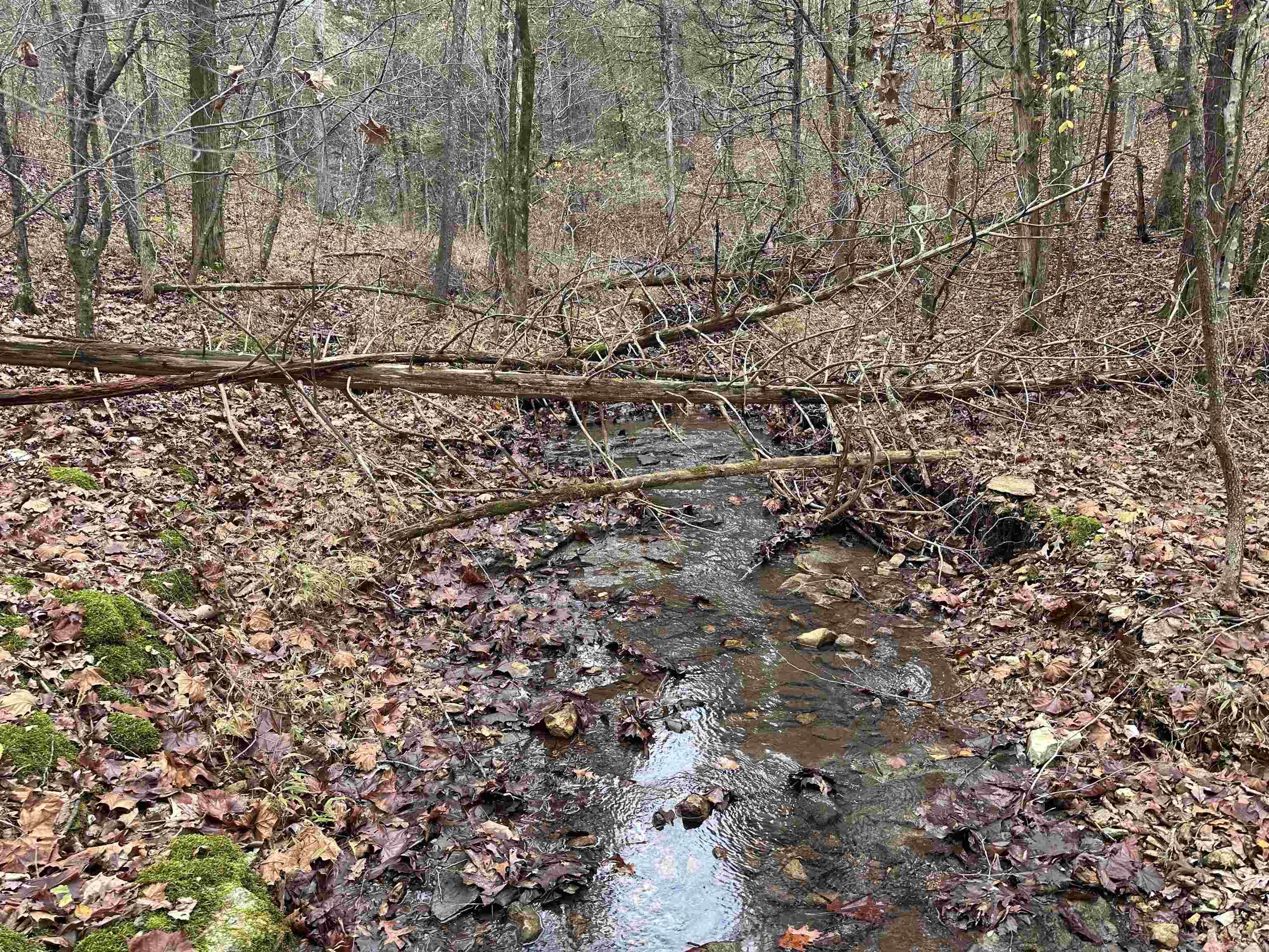Photo 23 - Vacant Land for sale –   Hulett Rd   Evening Shade, AR